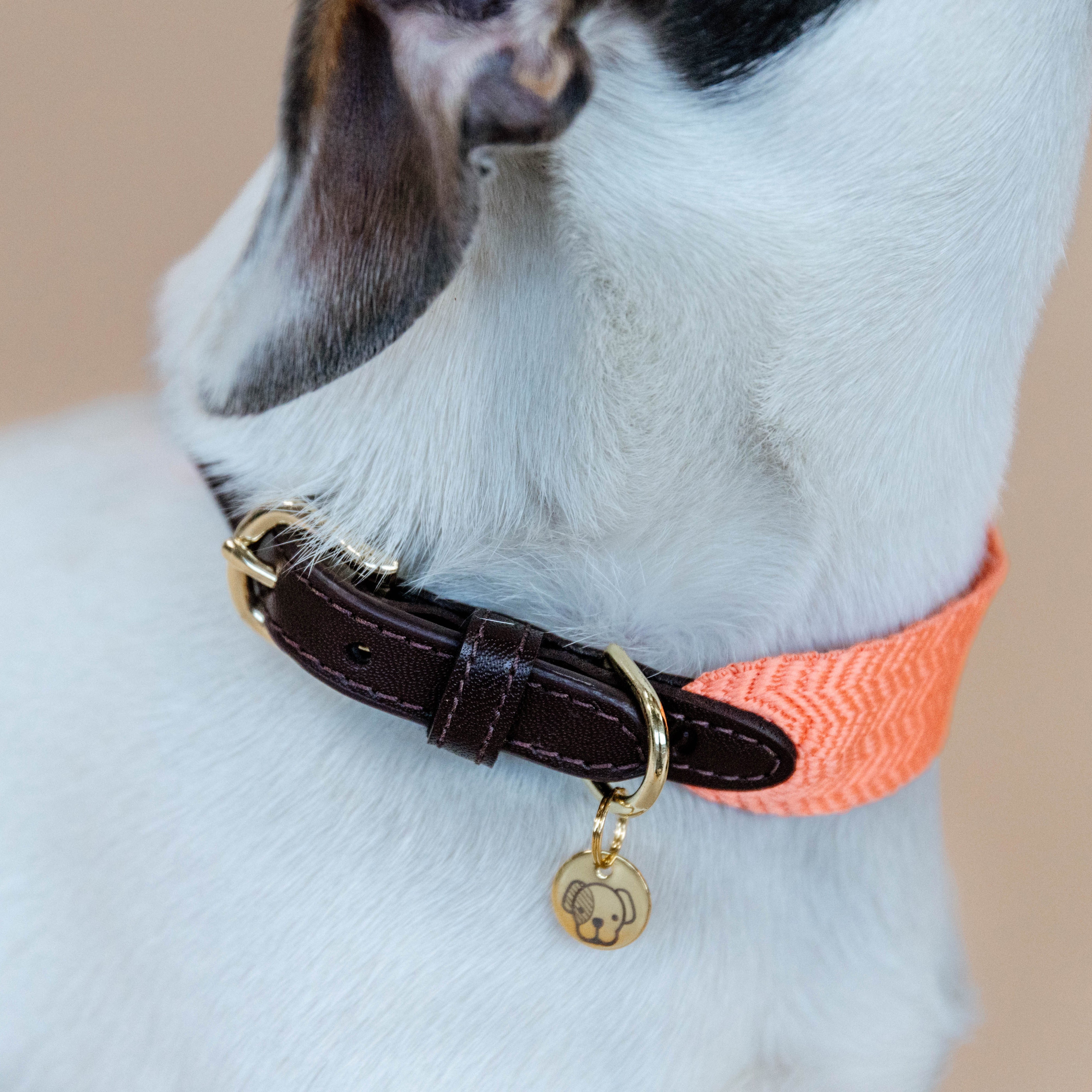 Hunde Halsband Jacquard