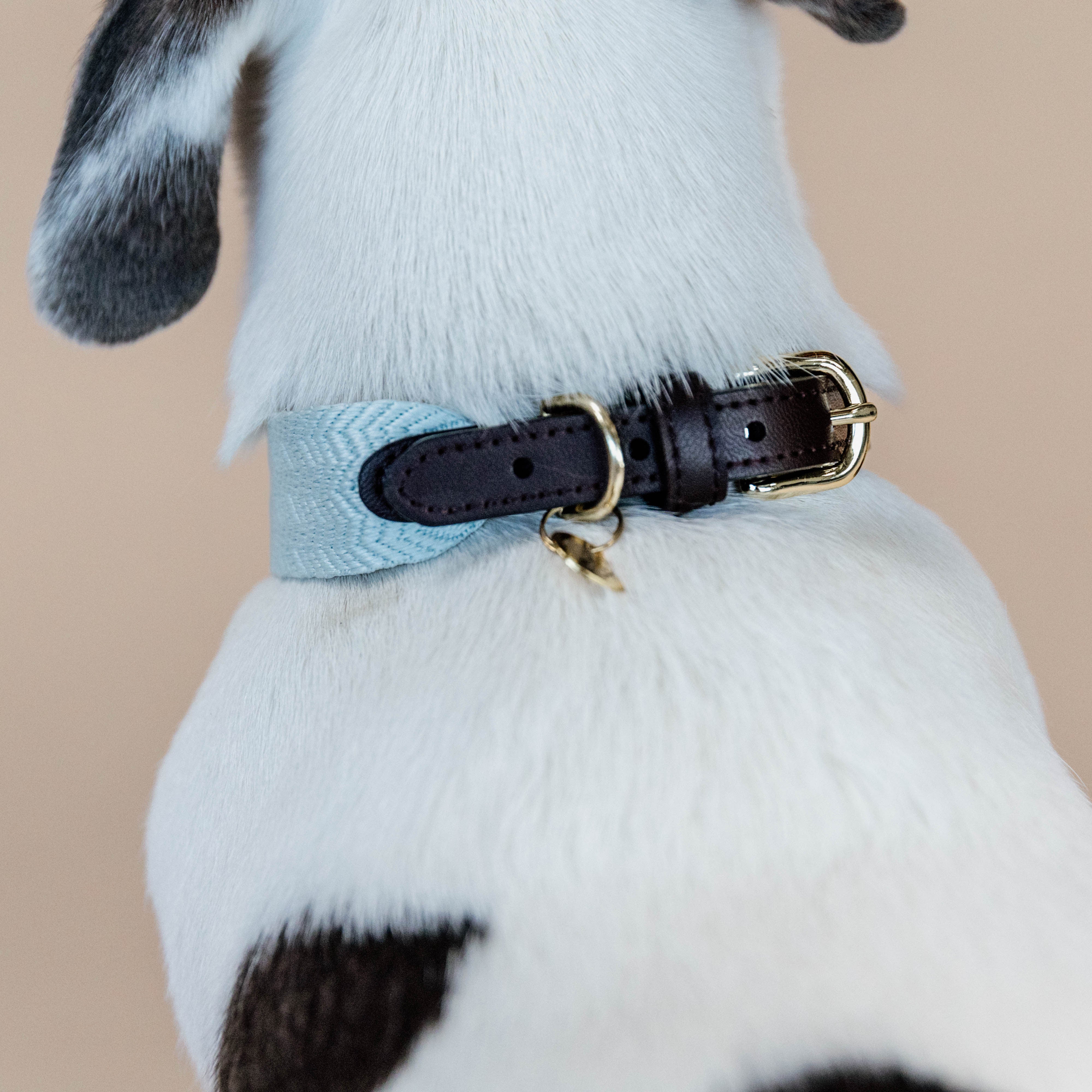 Hunde Halsband Jacquard