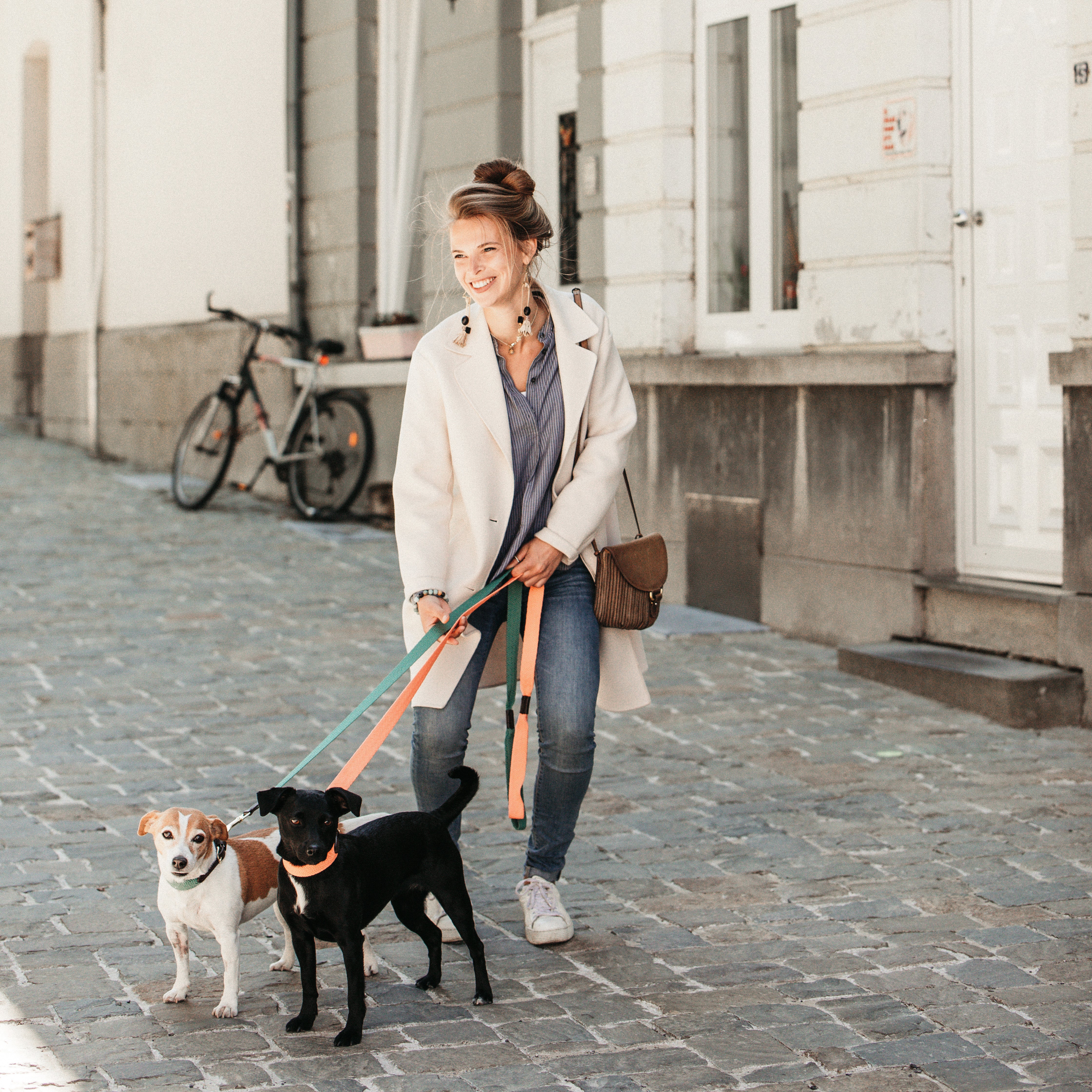 Hunde Leine Jacquard