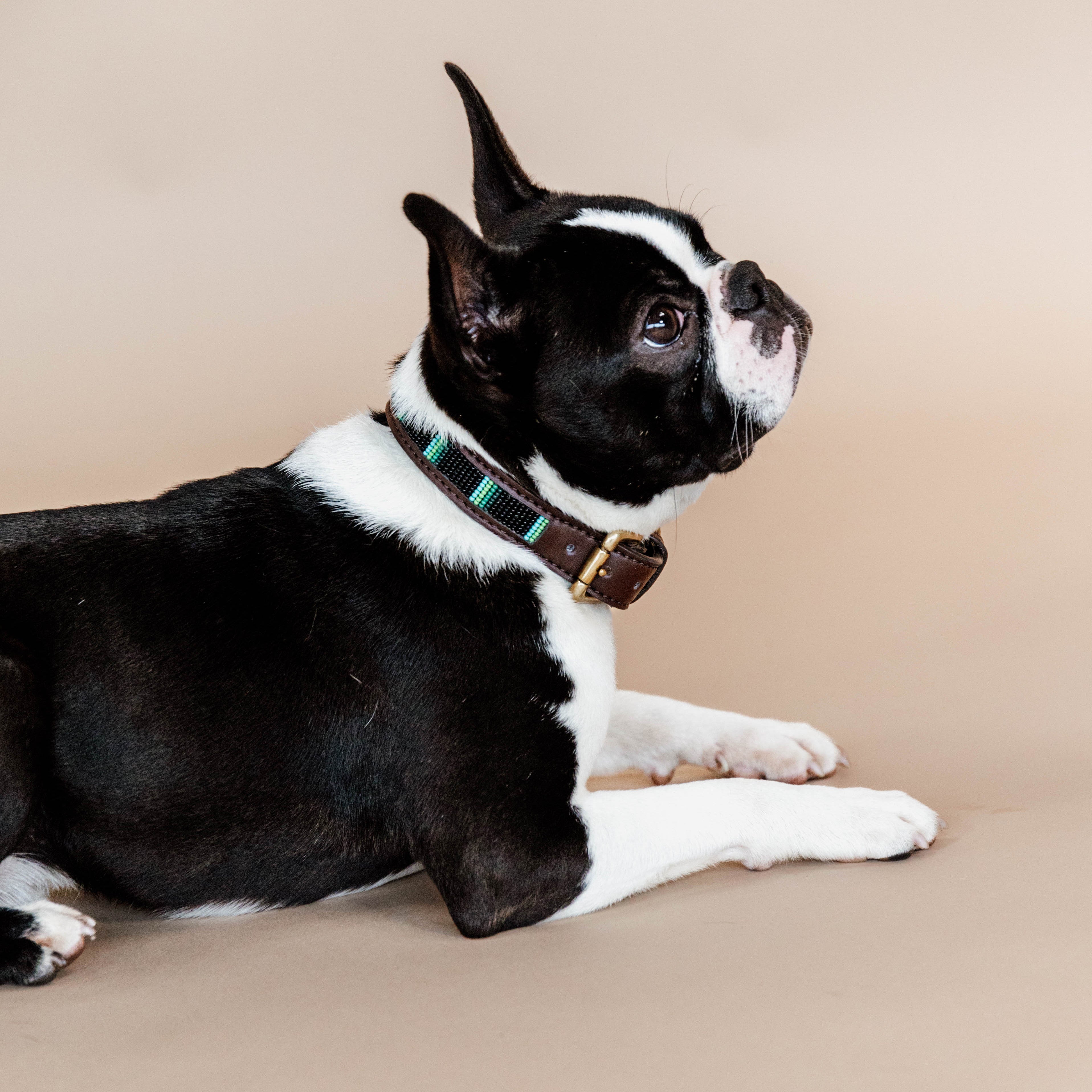 Hunde Halsband Handgemacht Perlen