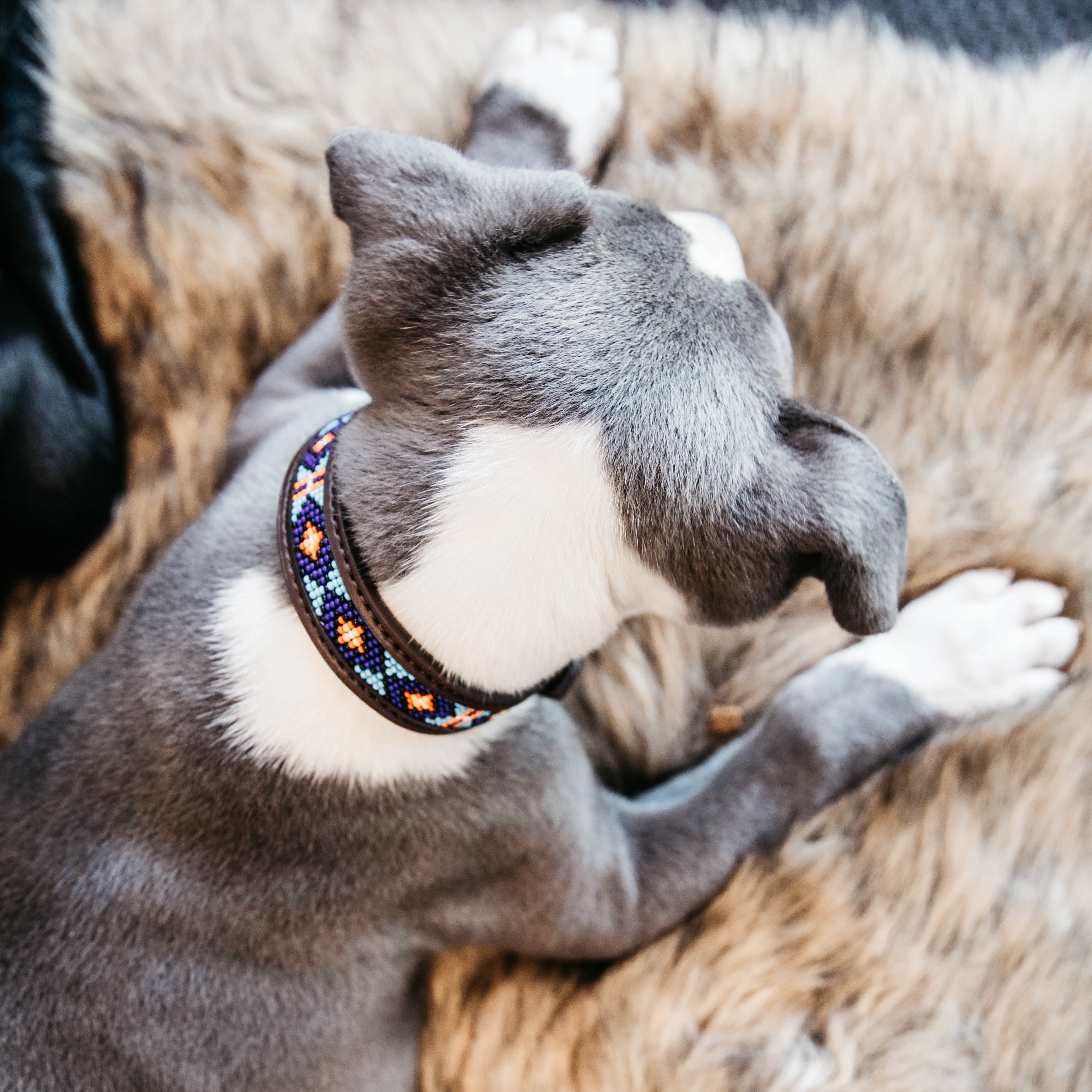 Hunde Halsband Handgemacht Perlen