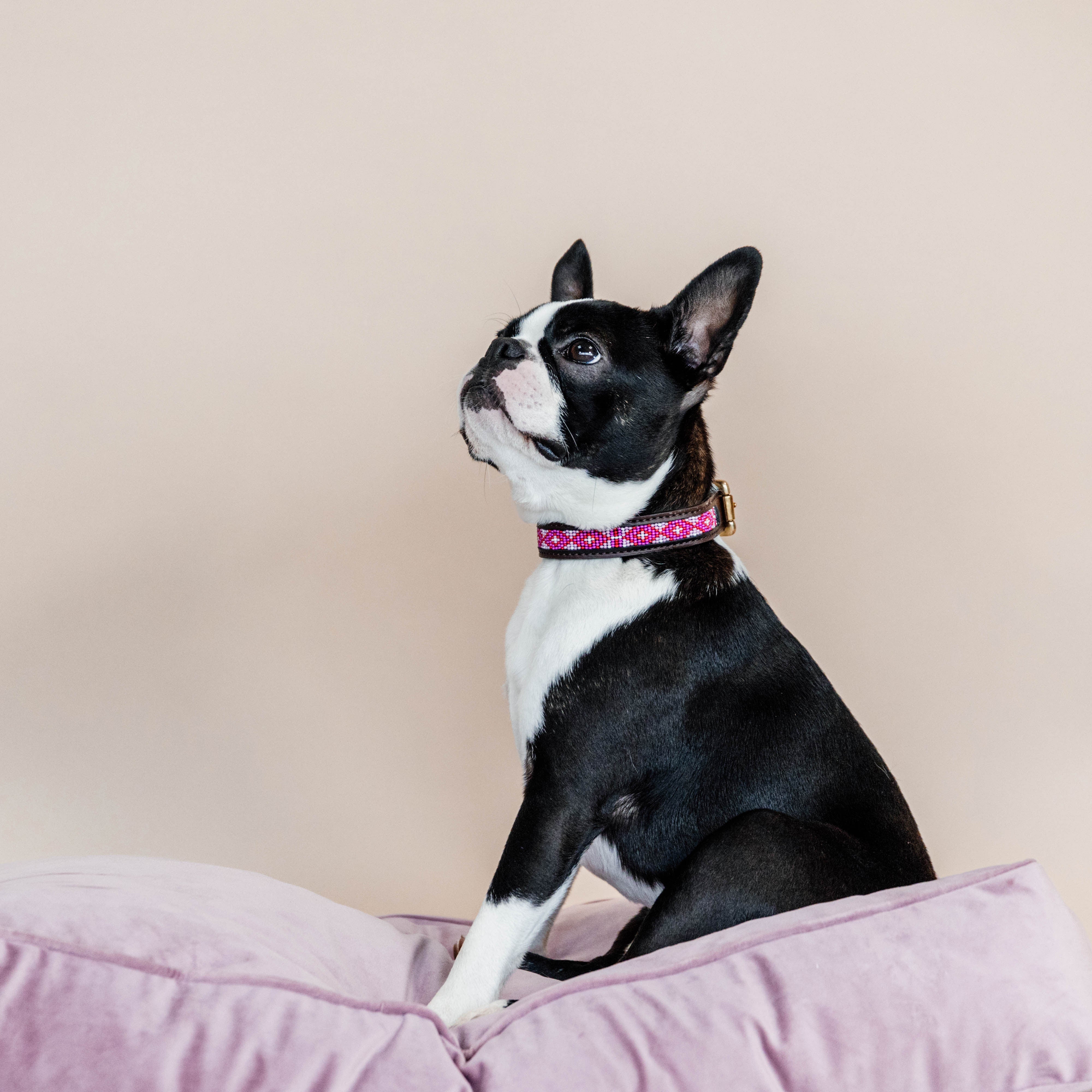 Hunde Halsband Handgemacht Perlen