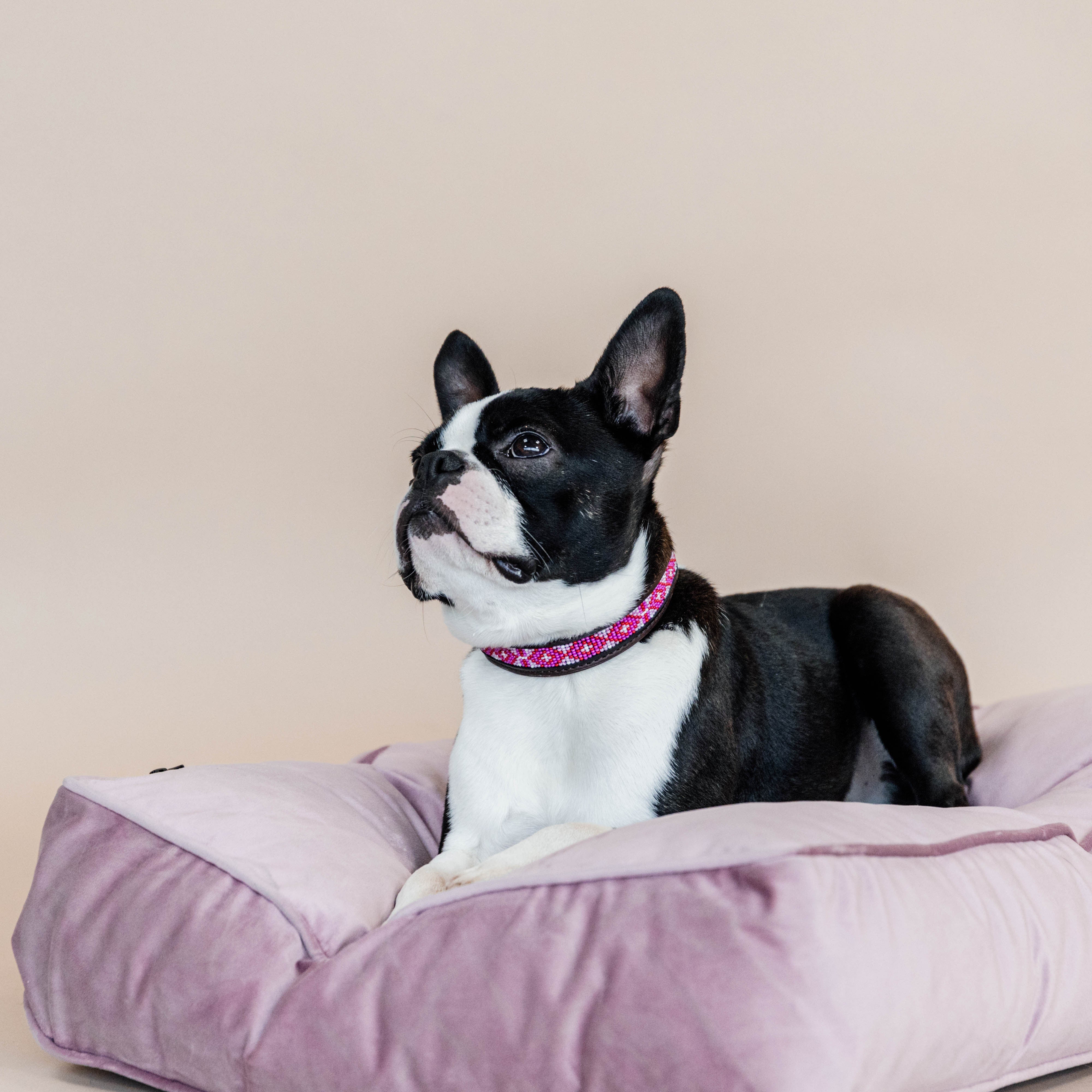Hunde Halsband Handgemacht Perlen
