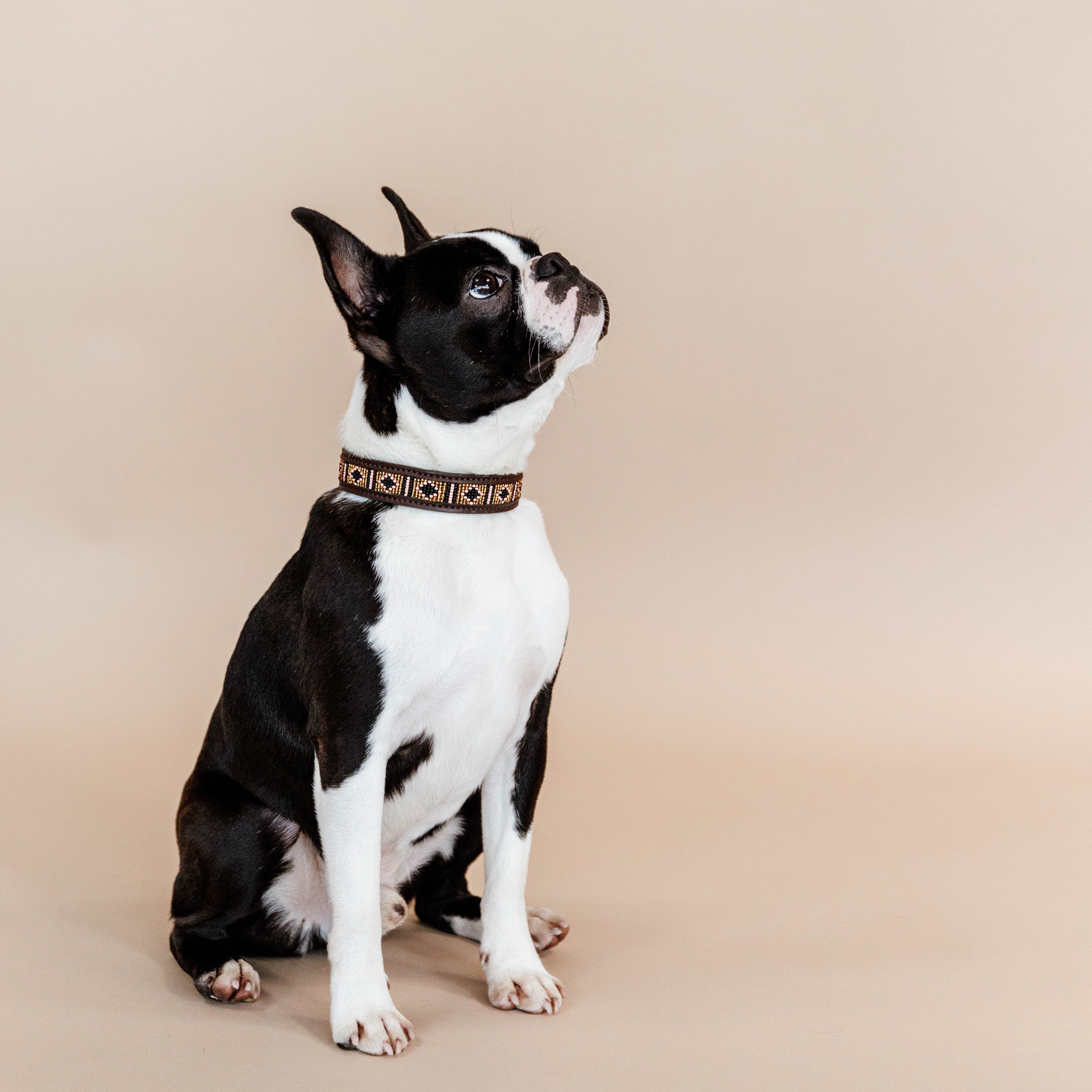 Hunde Halsband Handgemacht Perlen