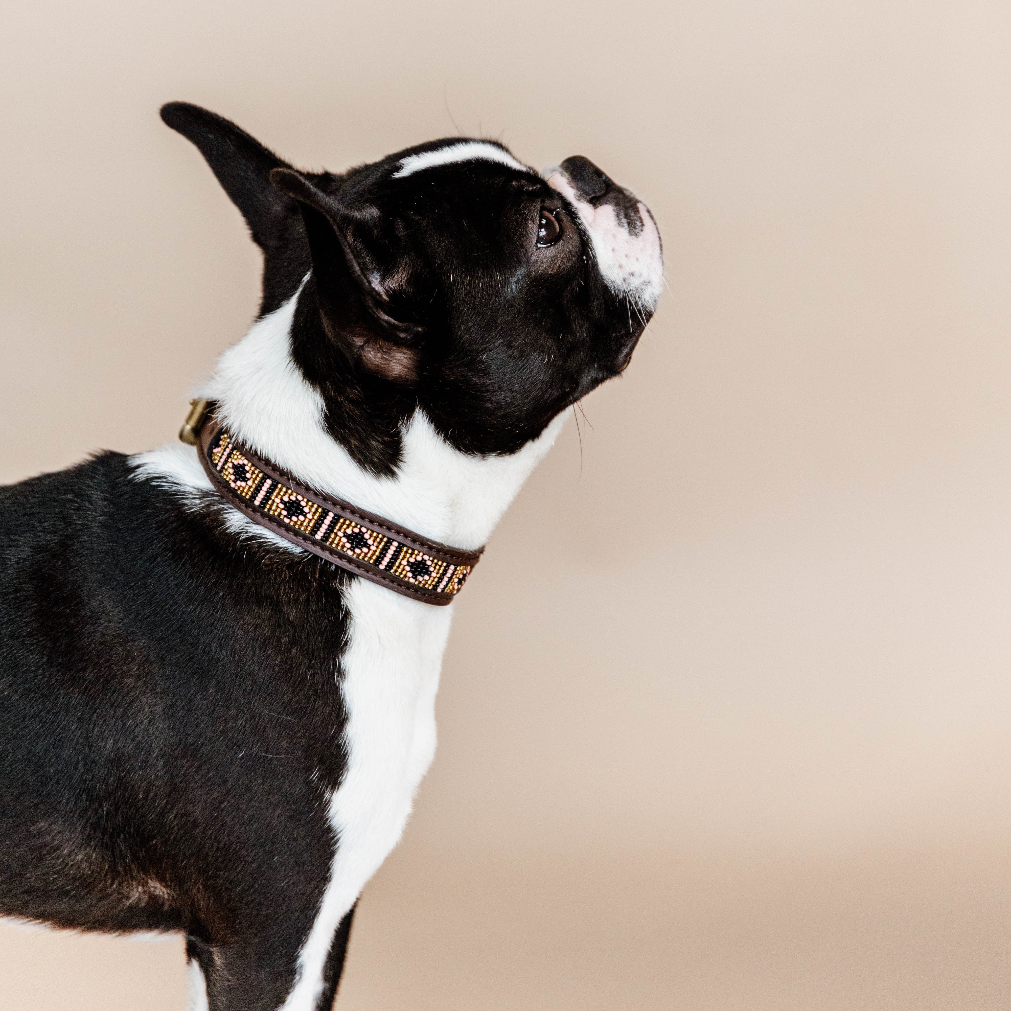 Hunde Halsband Handgemacht Perlen