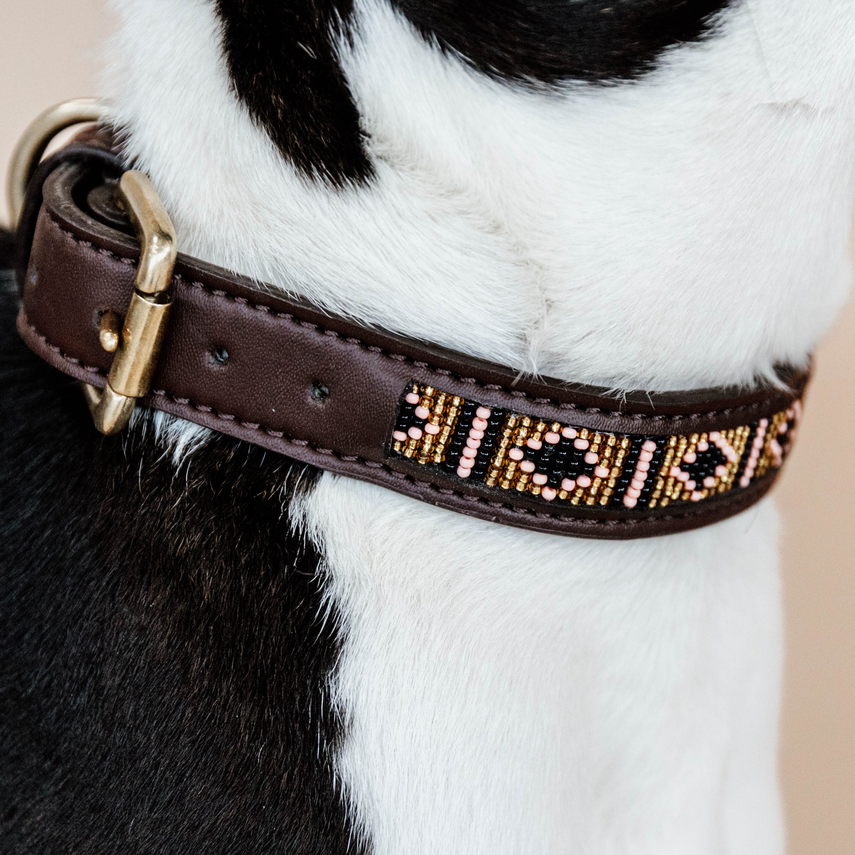 Hunde Halsband Handgemacht Perlen