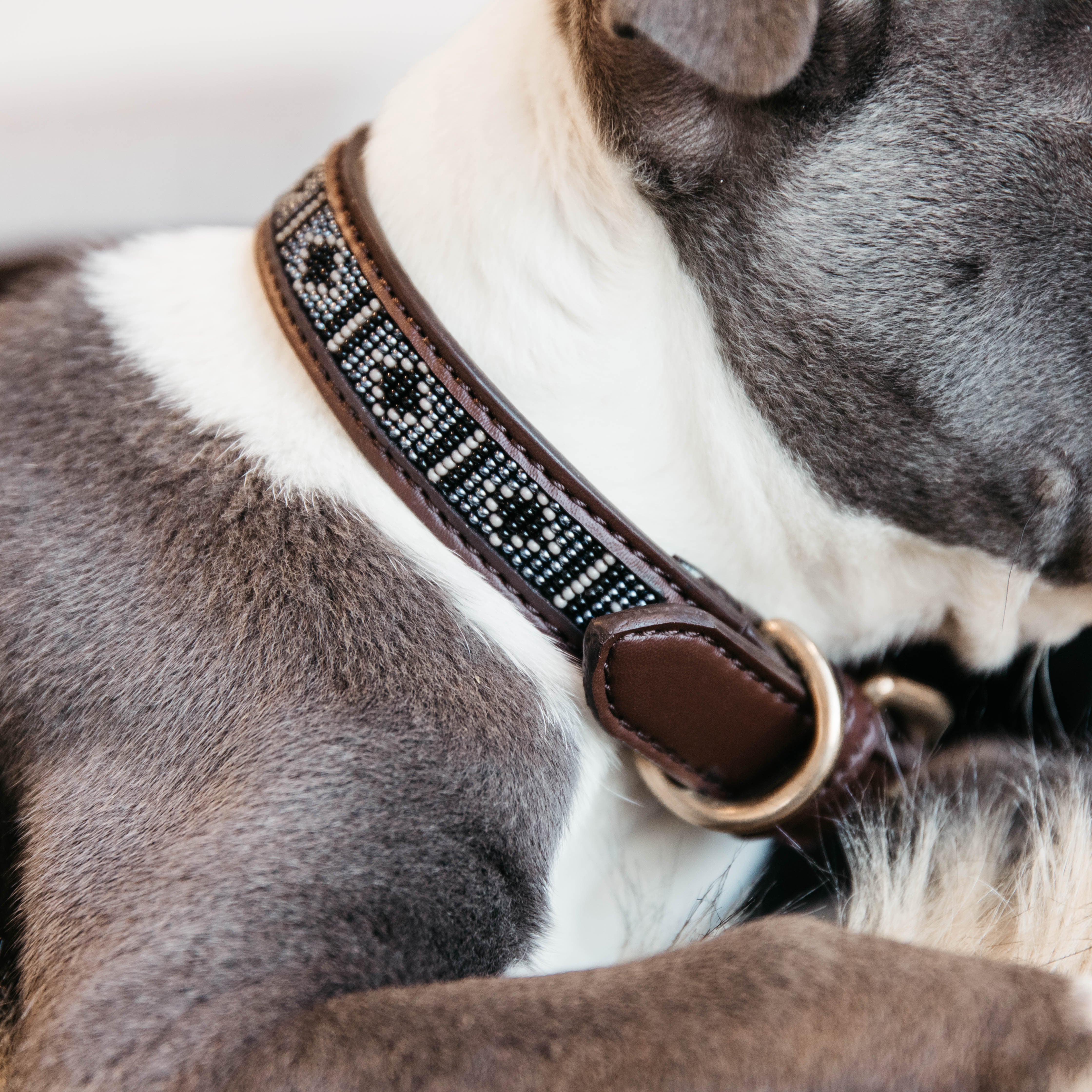 Hunde Halsband Handgemacht Perlen