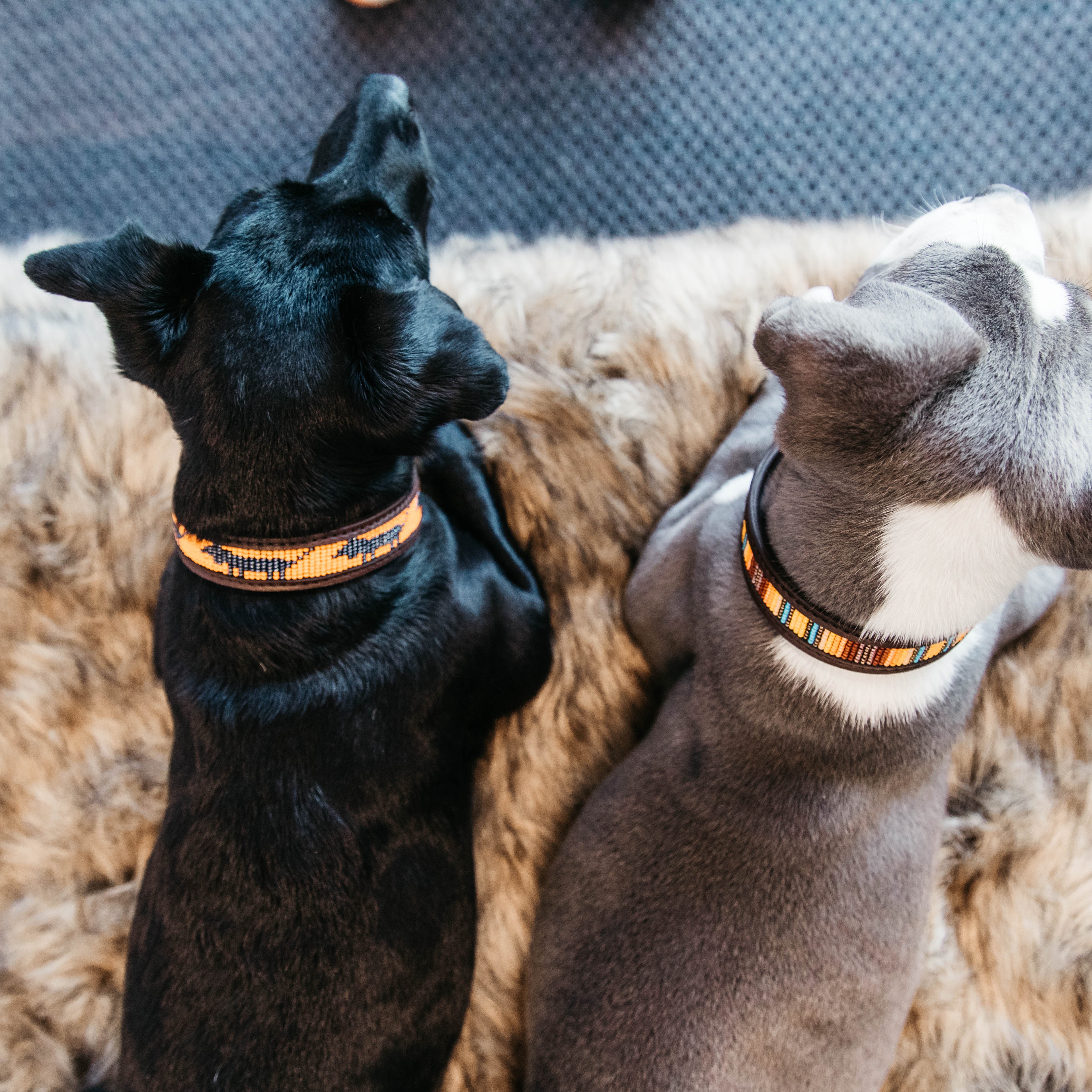 Hunde Halsband Handgemacht Perlen