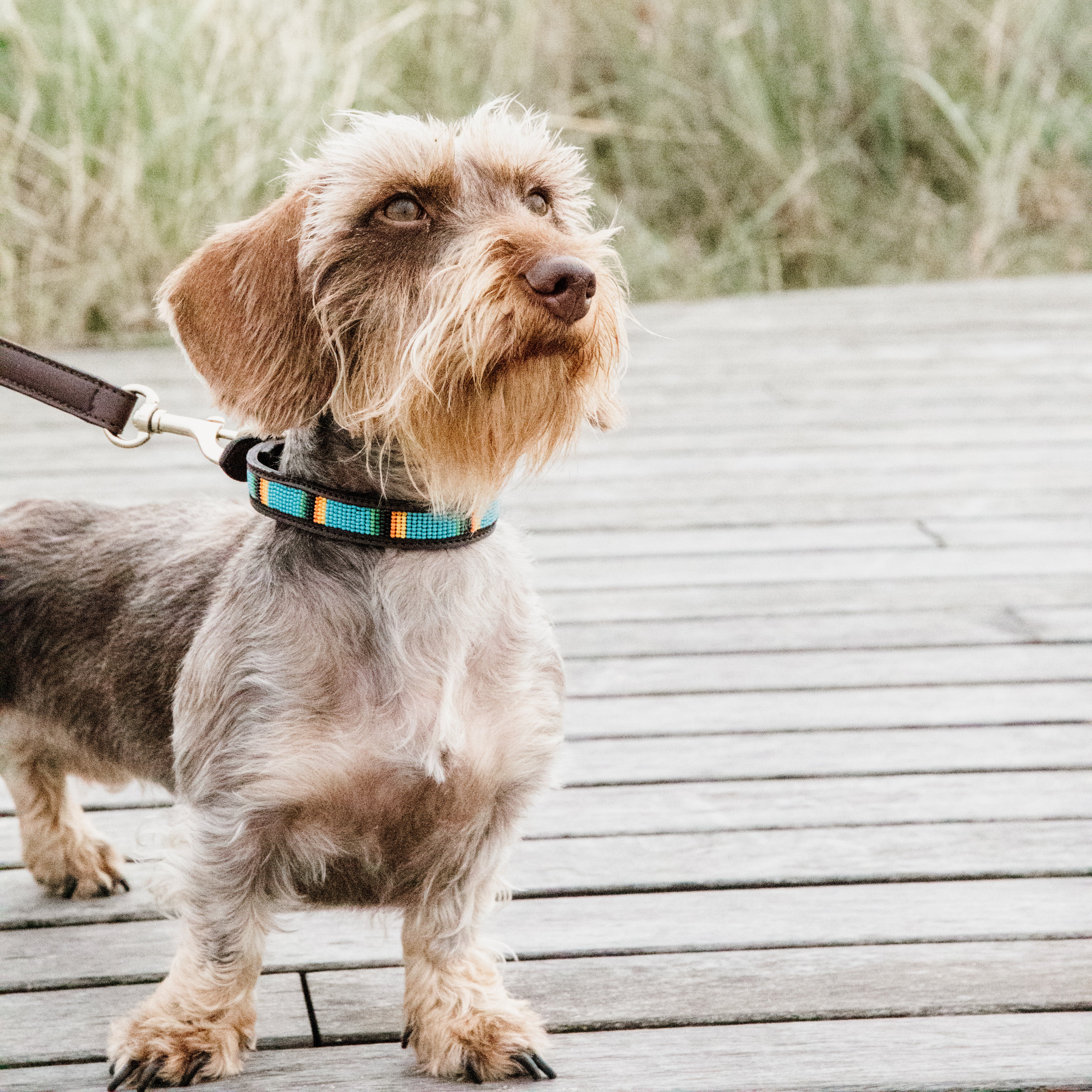 Hunde Halsband Handgemacht Perlen