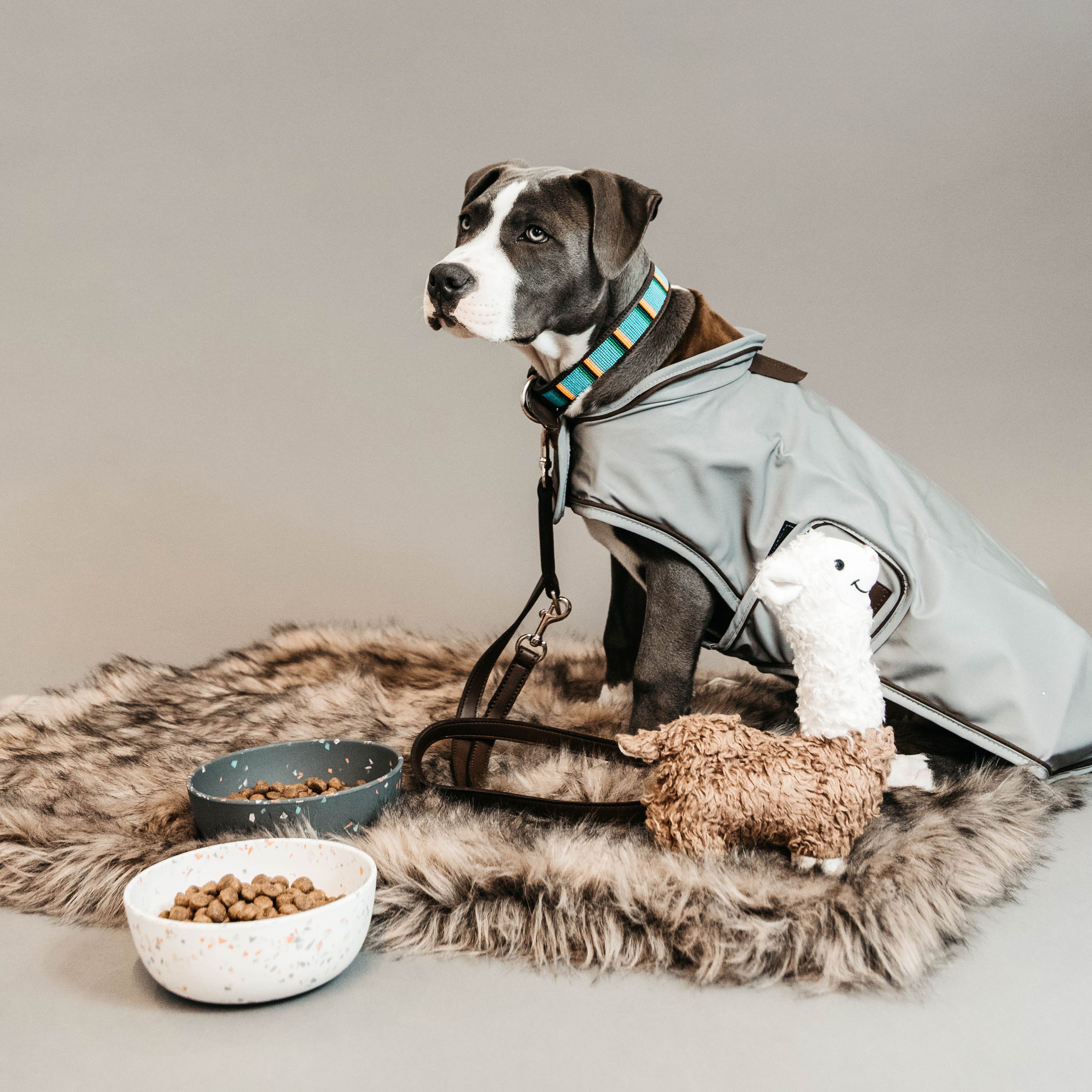 Hunde Halsband Handgemacht Perlen