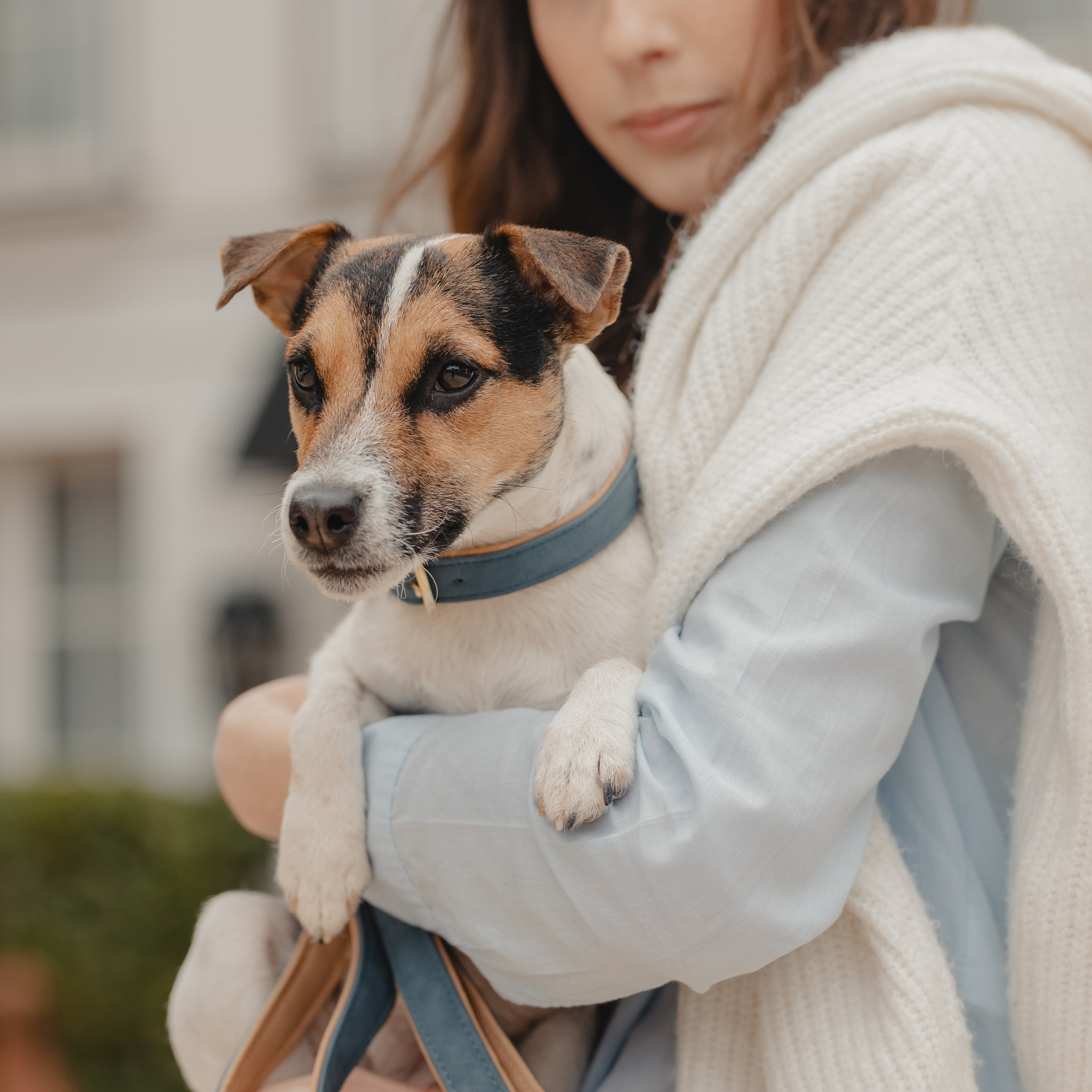 Hunde Halsband Vegan Leder
