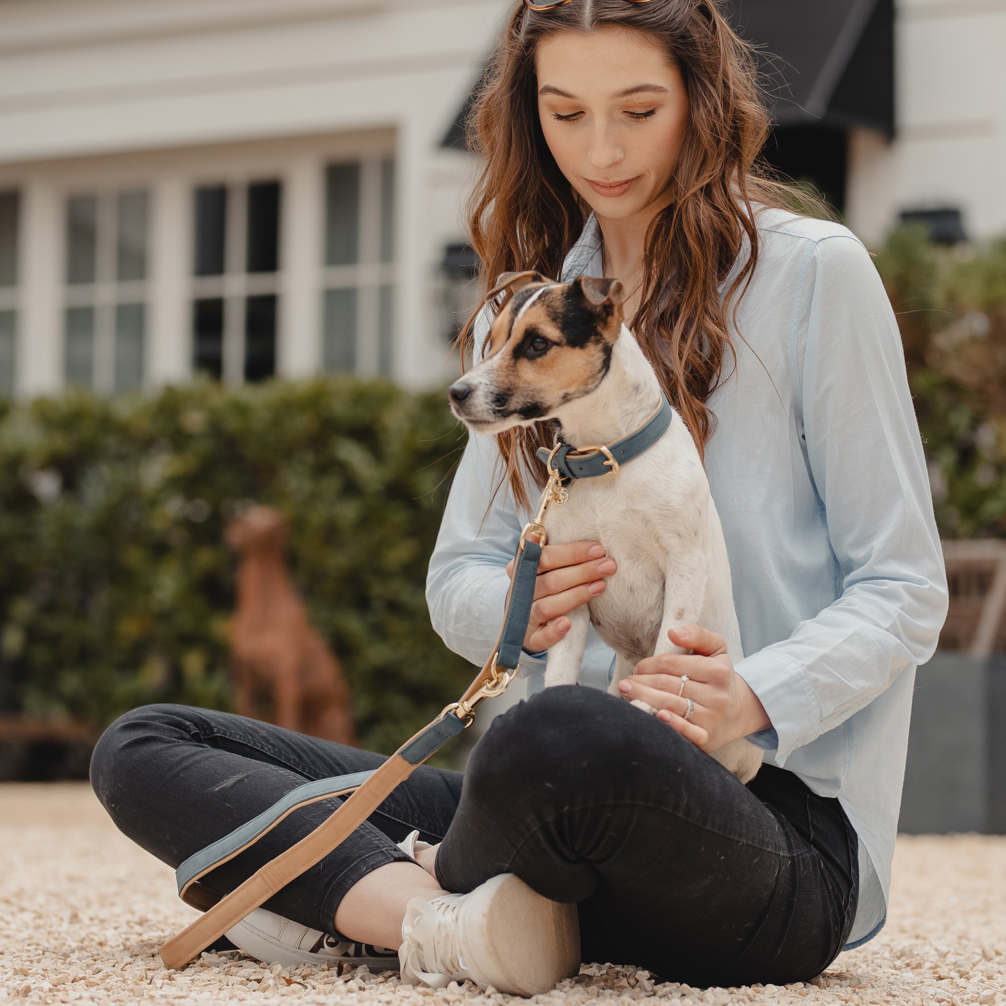Hunde Halsband Vegan Leder