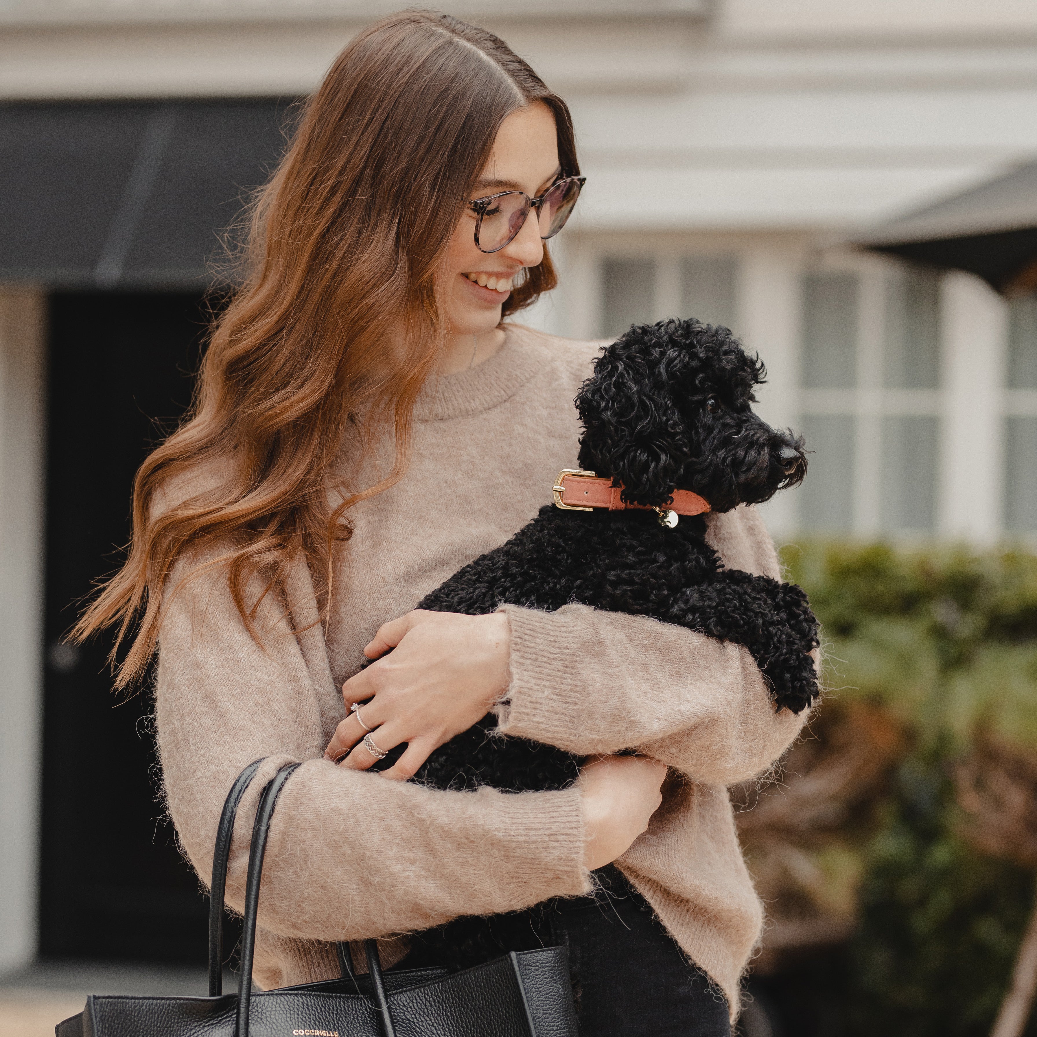 Hunde Halsband Vegan Leder