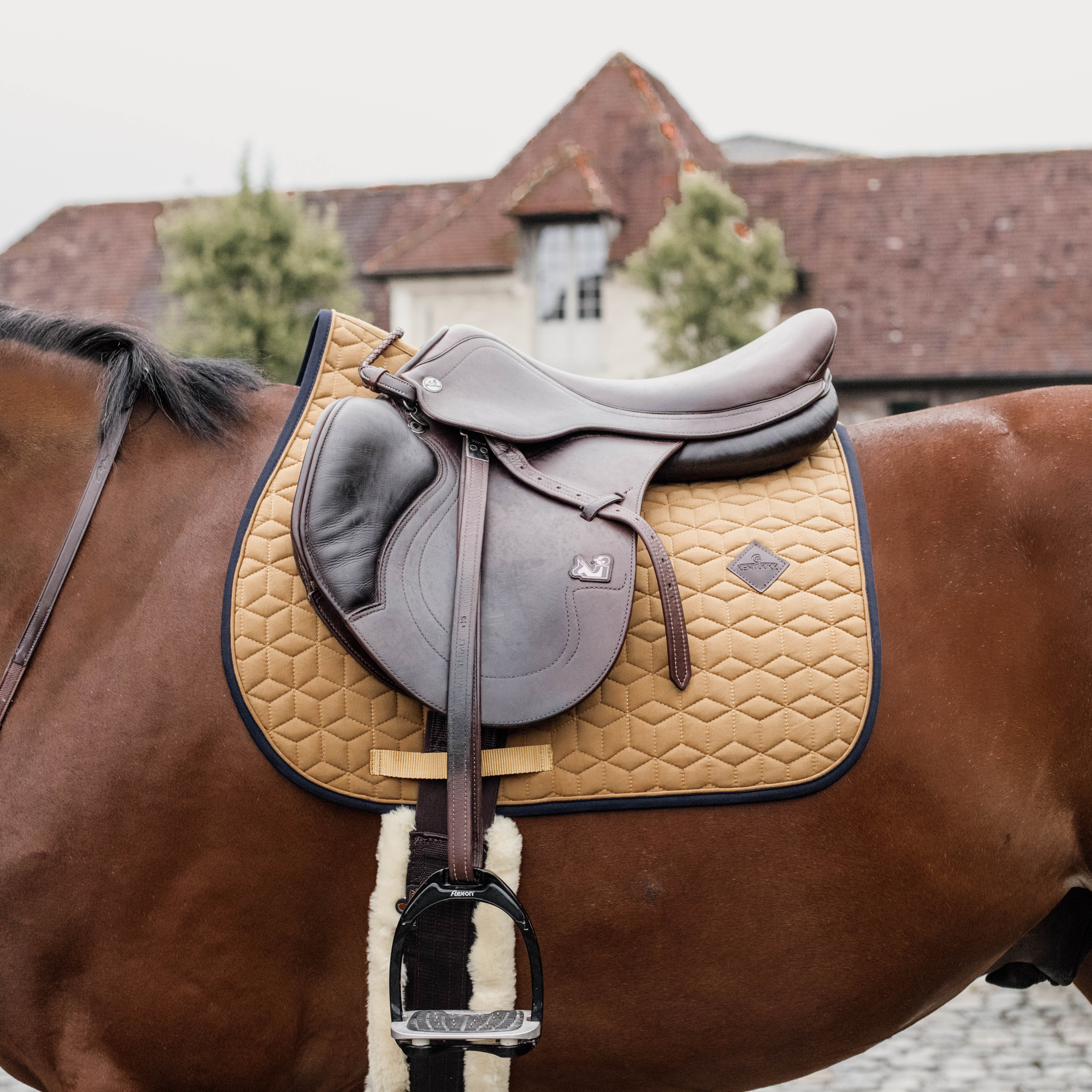 Schabracke Softshell Springen