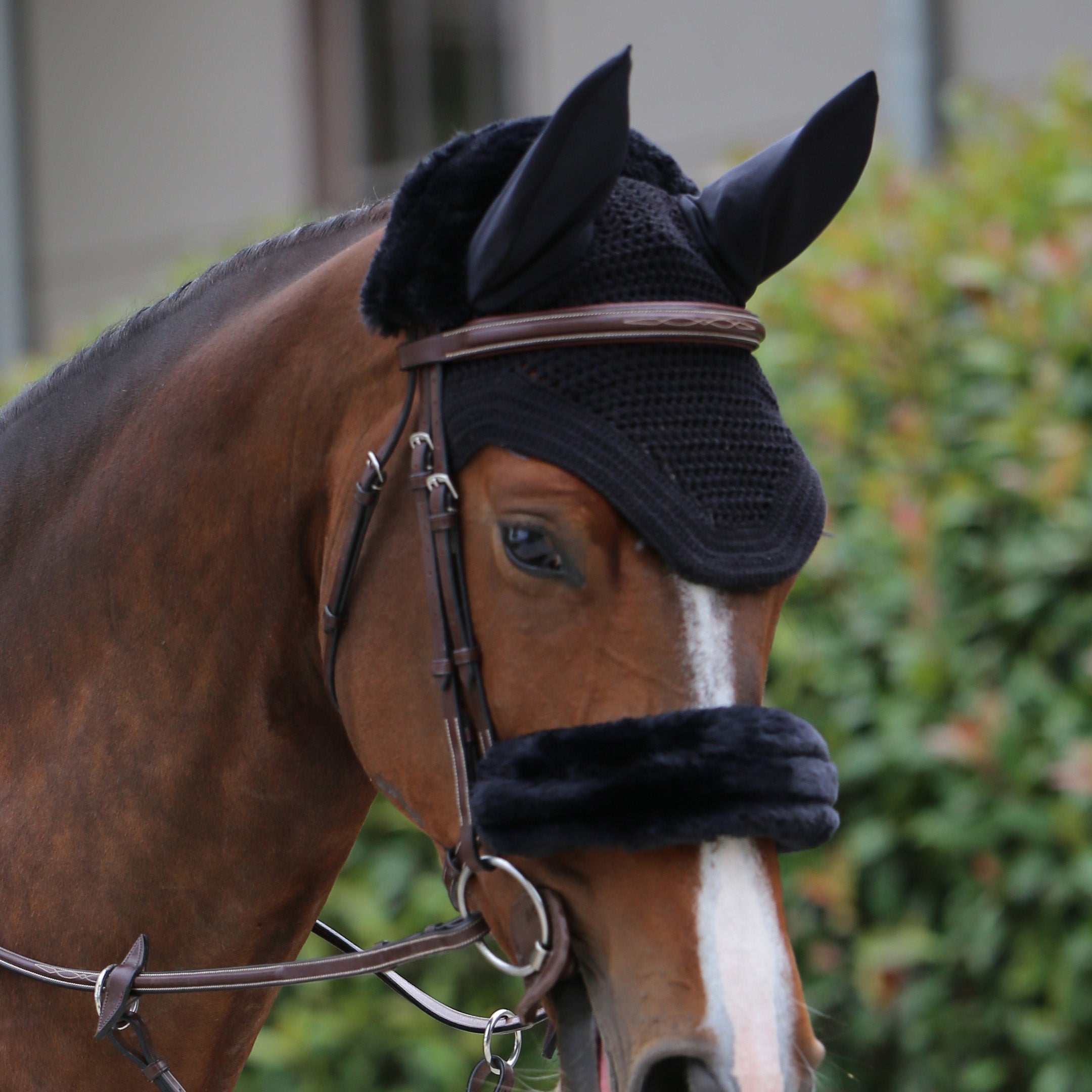 Fliegenhaube Wellington