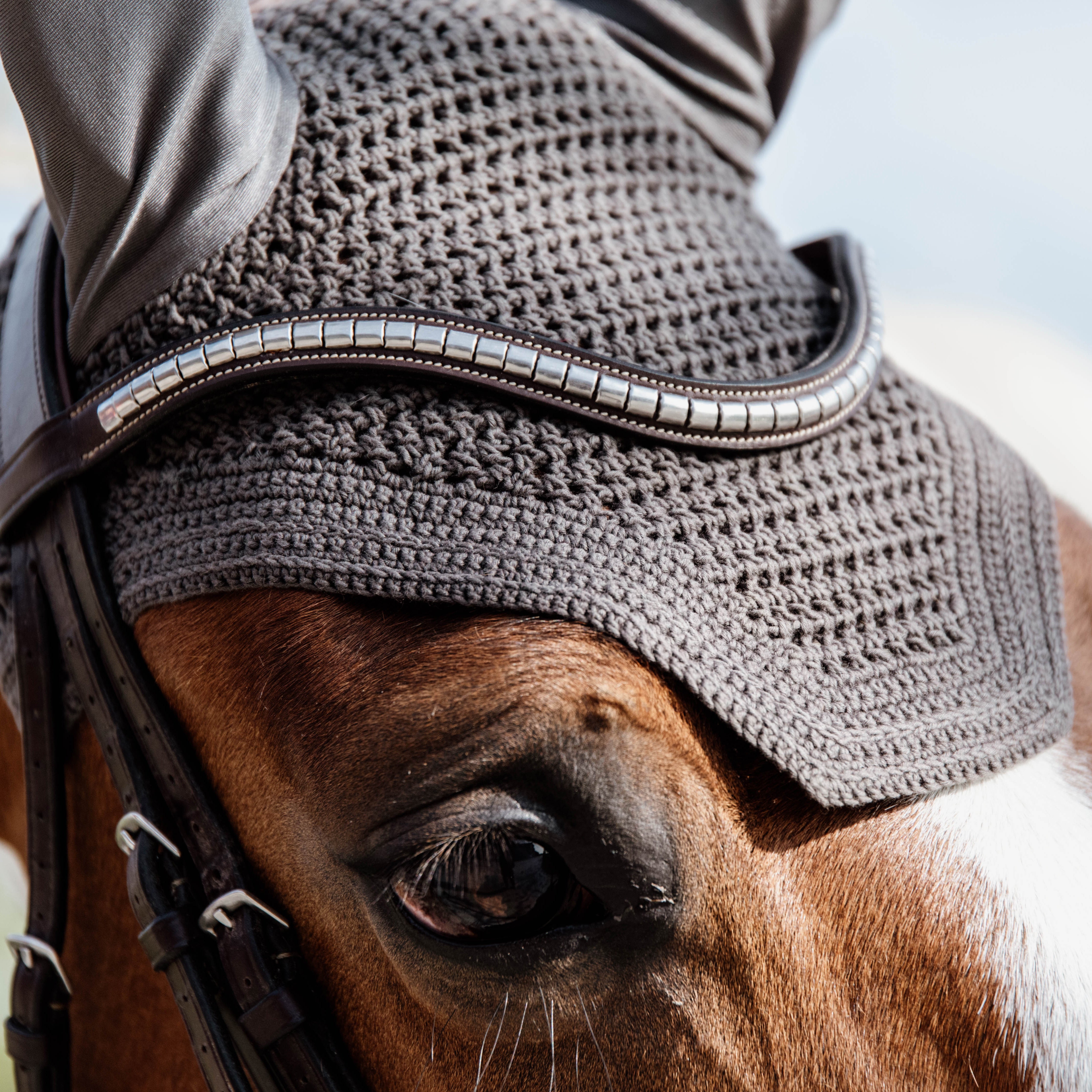 Fliegenhaube Wellington