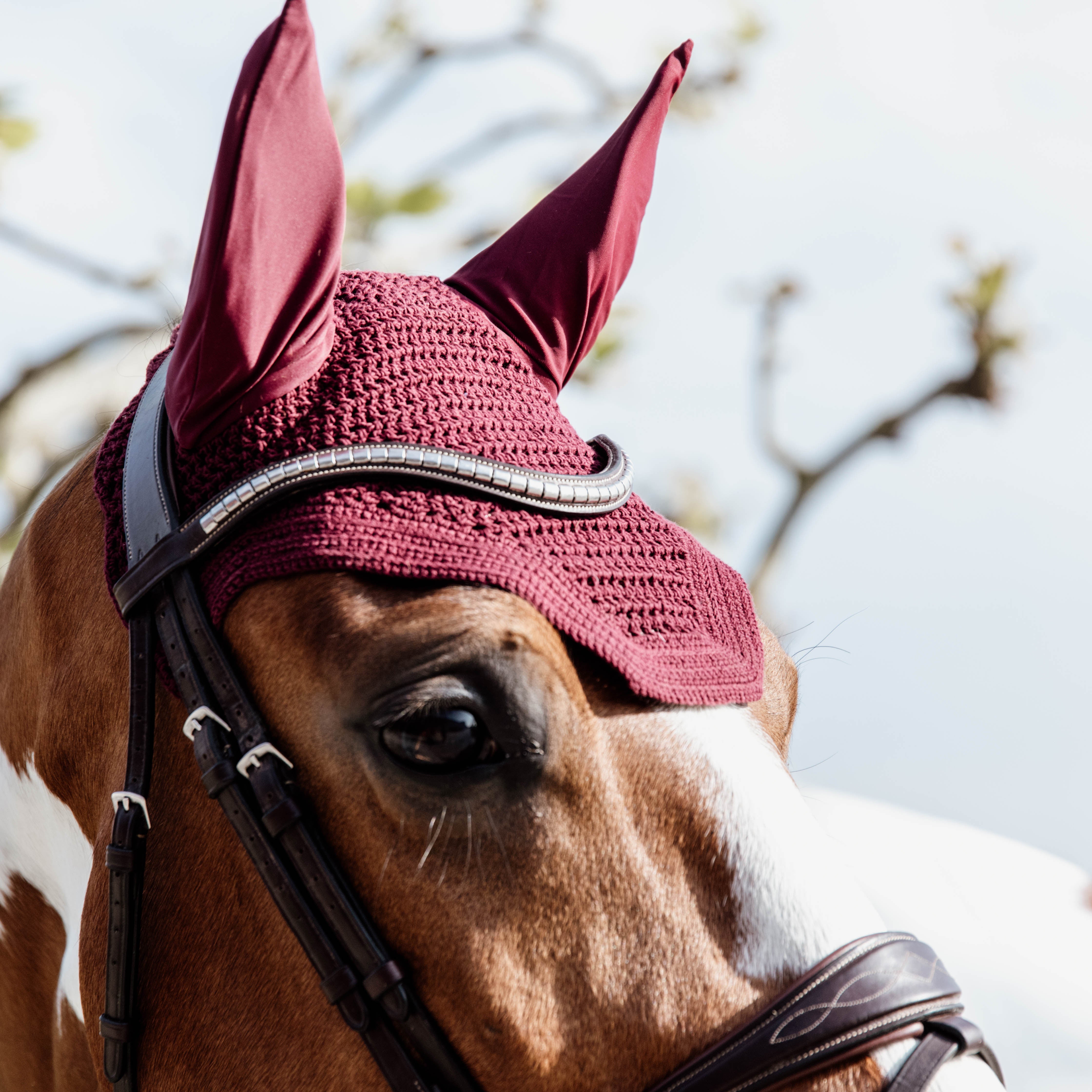 Fliegenhaube Wellington