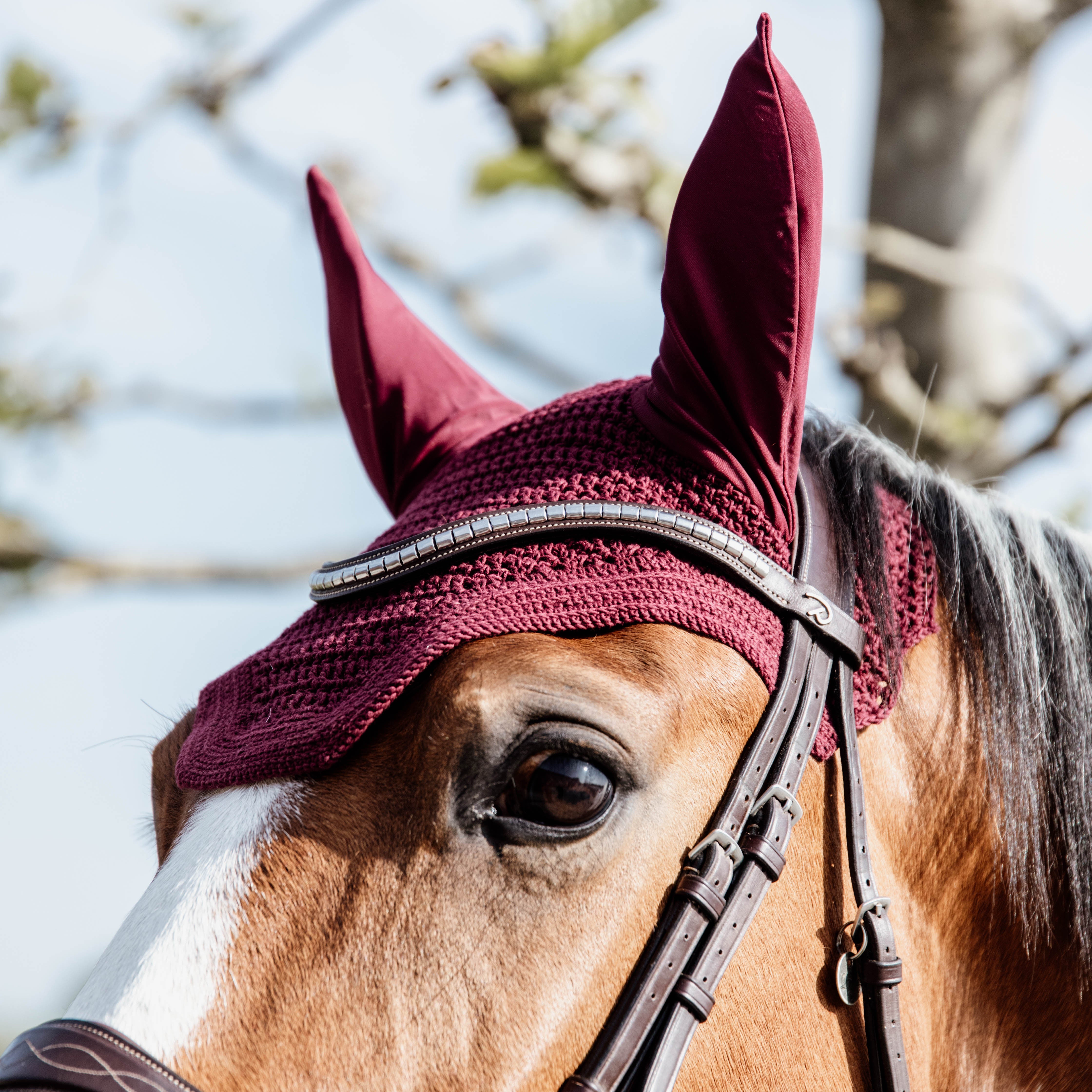 Fliegenhaube Wellington