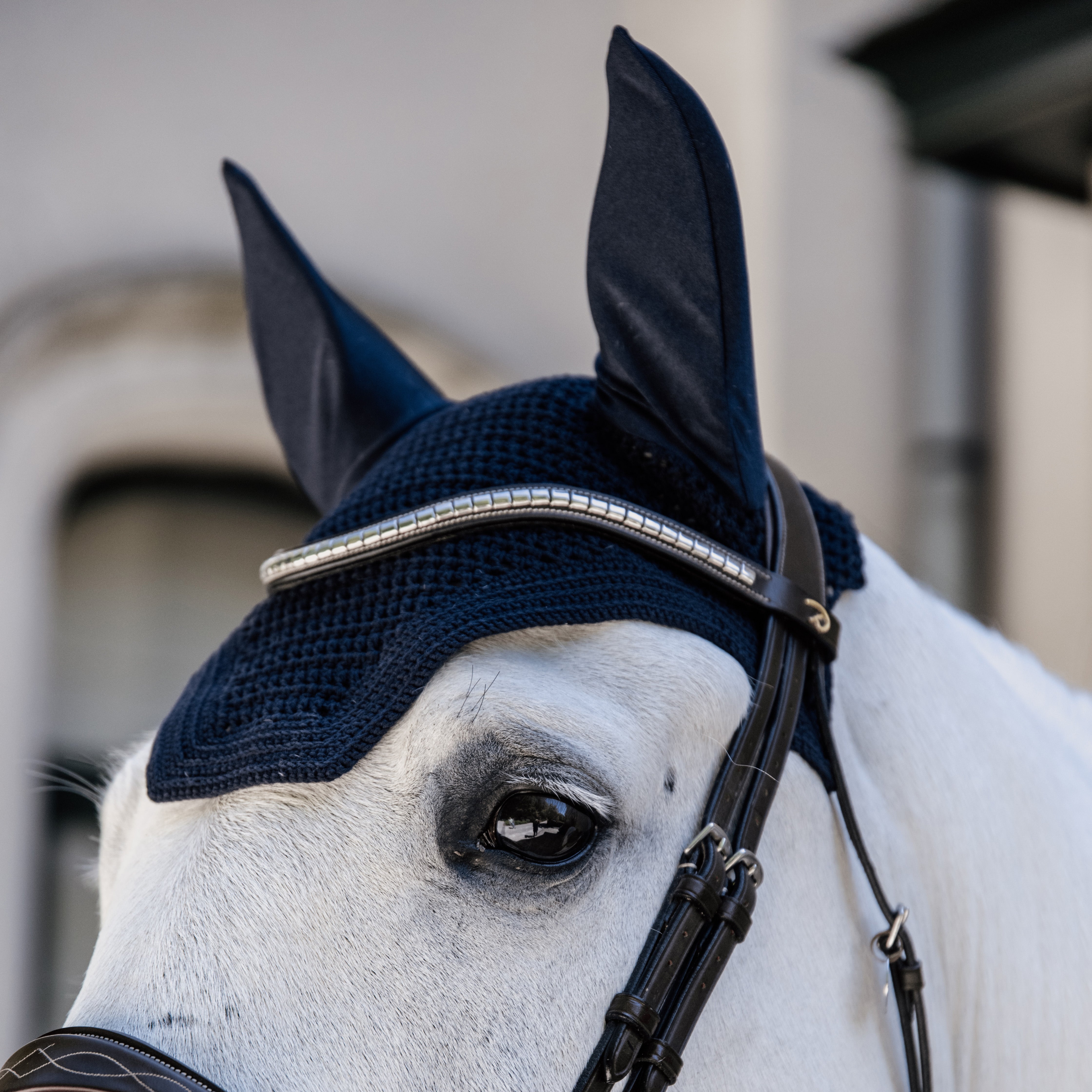 Fliegenhaube Wellington