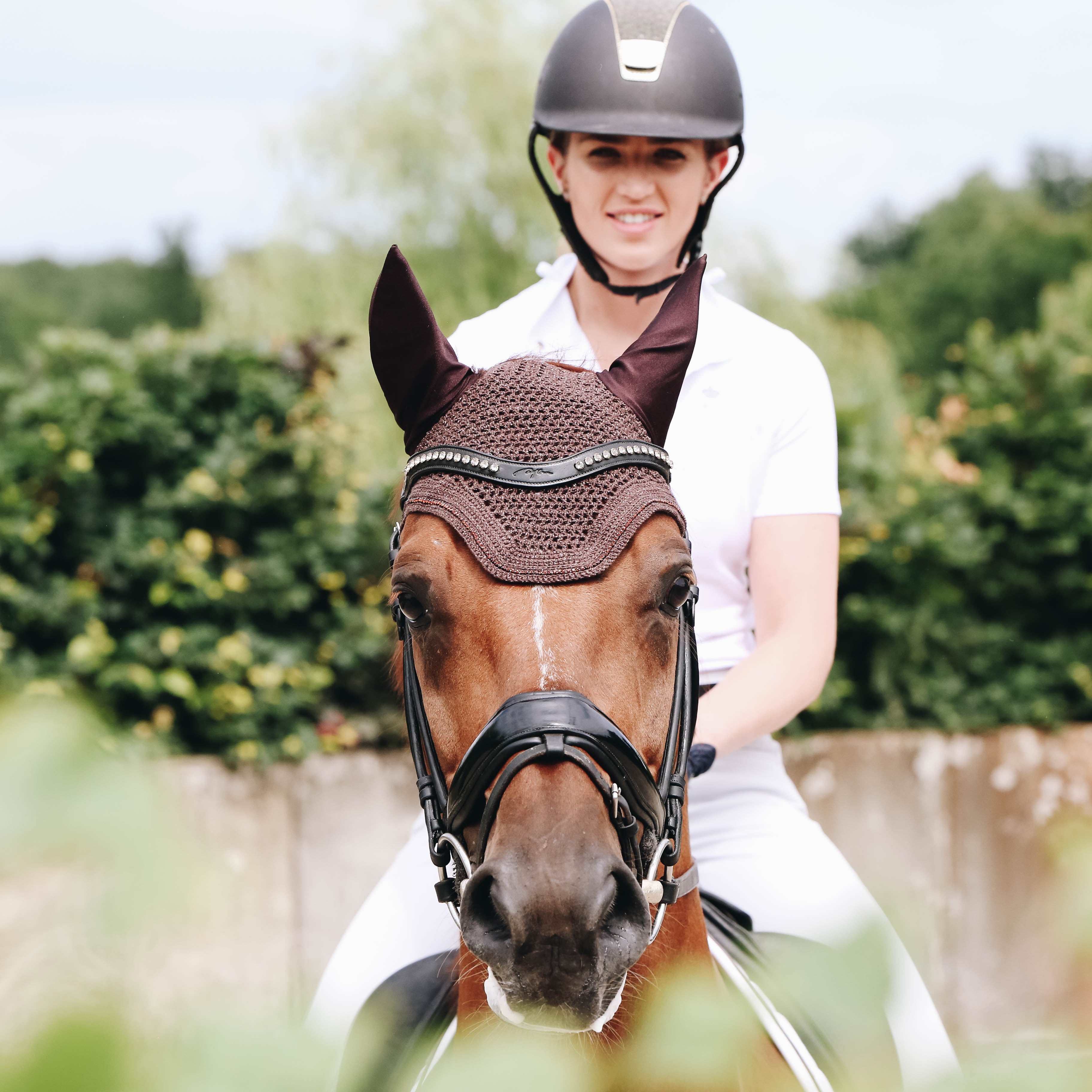 Fliegenhaube Wellington Sparkling