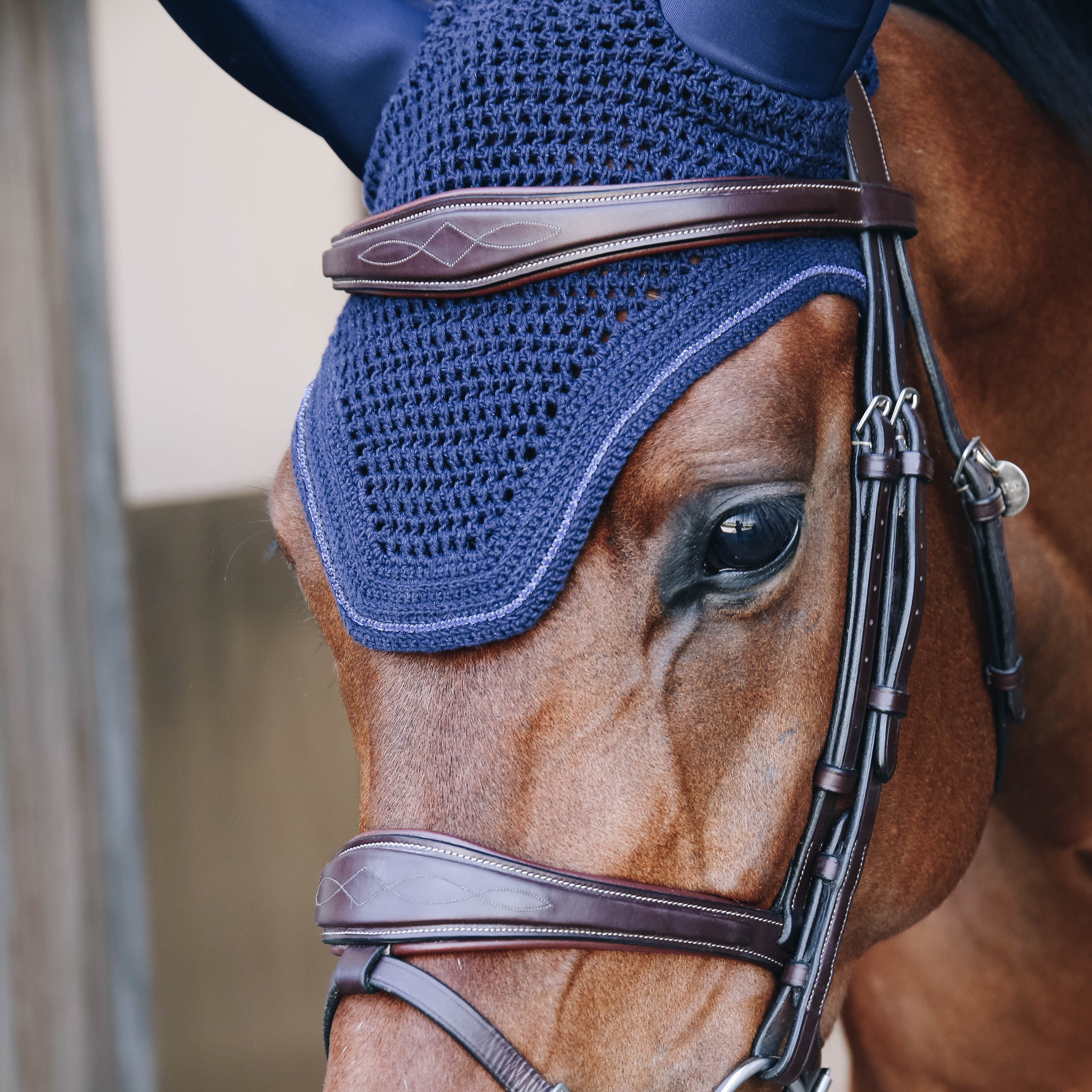 Fliegenhaube Wellington Sparkling