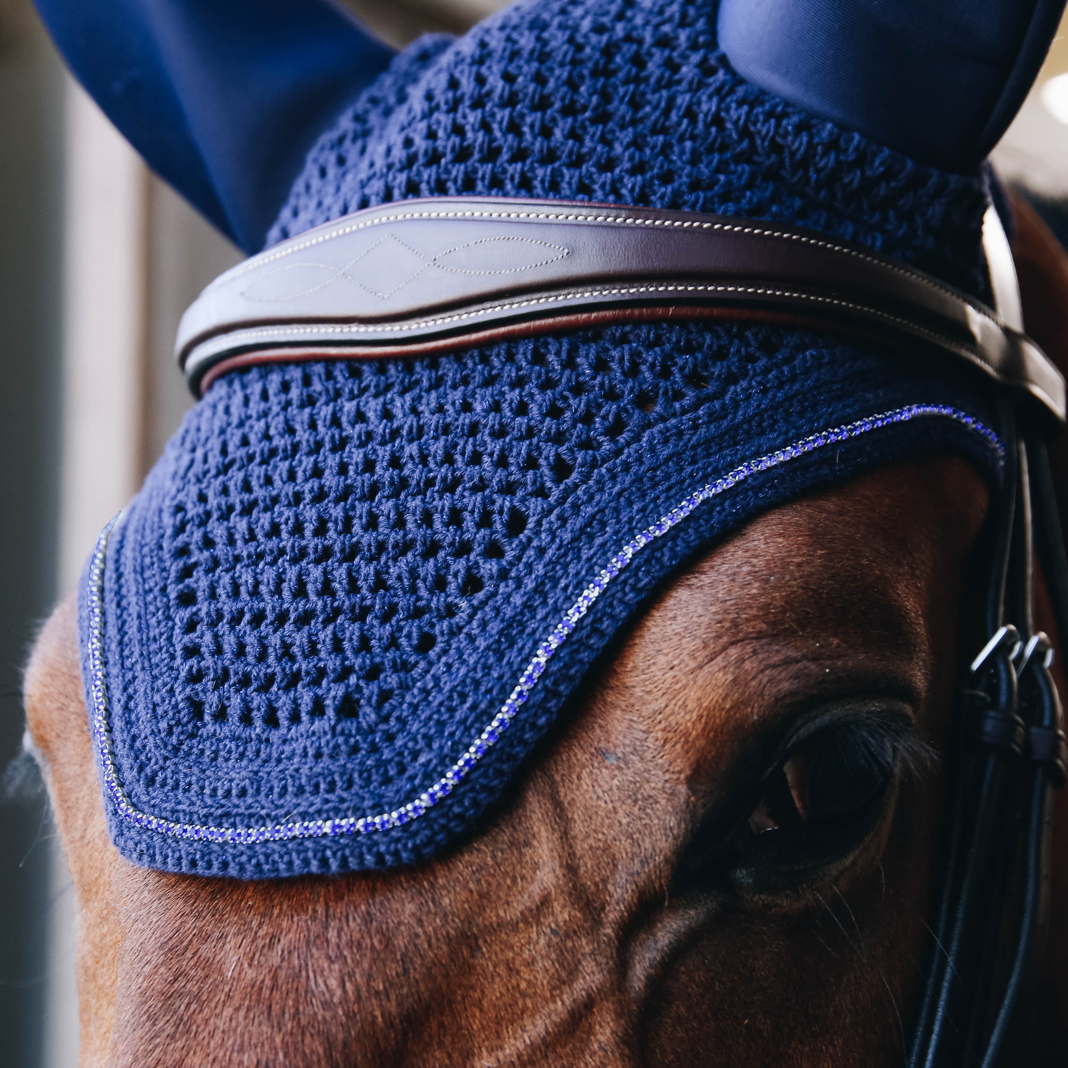 Fliegenhaube Wellington Sparkling