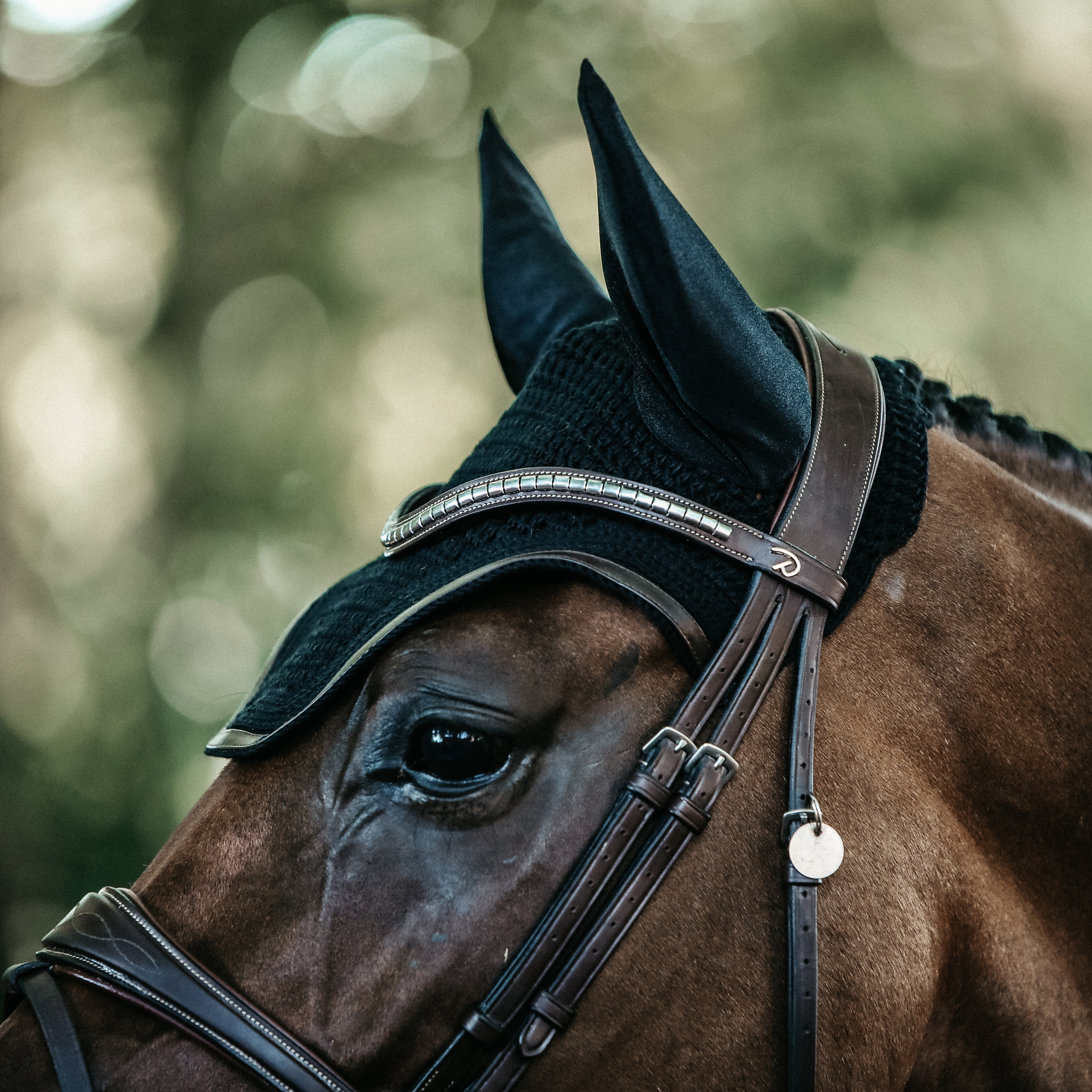 Fliegenhaube Wellington Leder