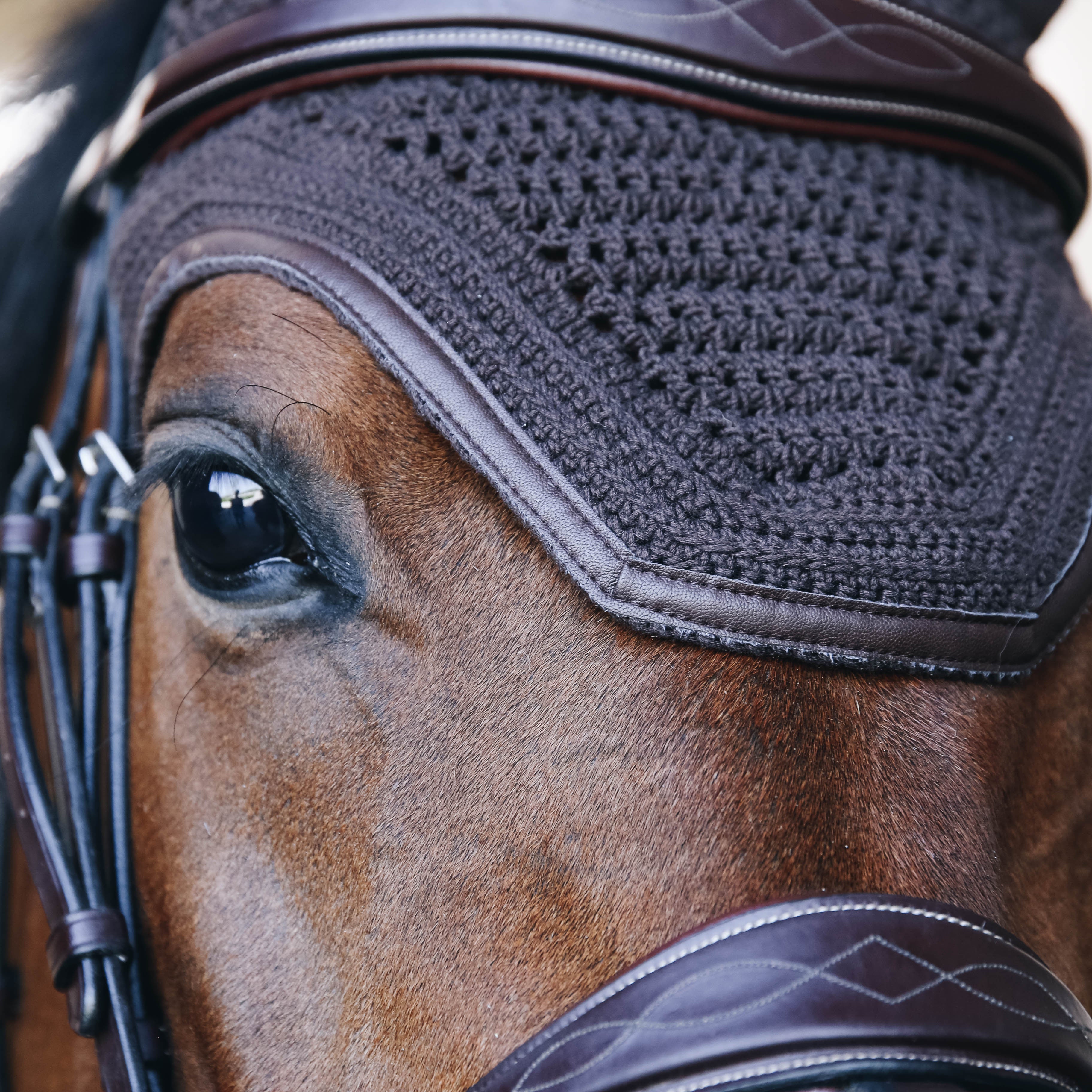 Fliegenhaube Wellington Leder