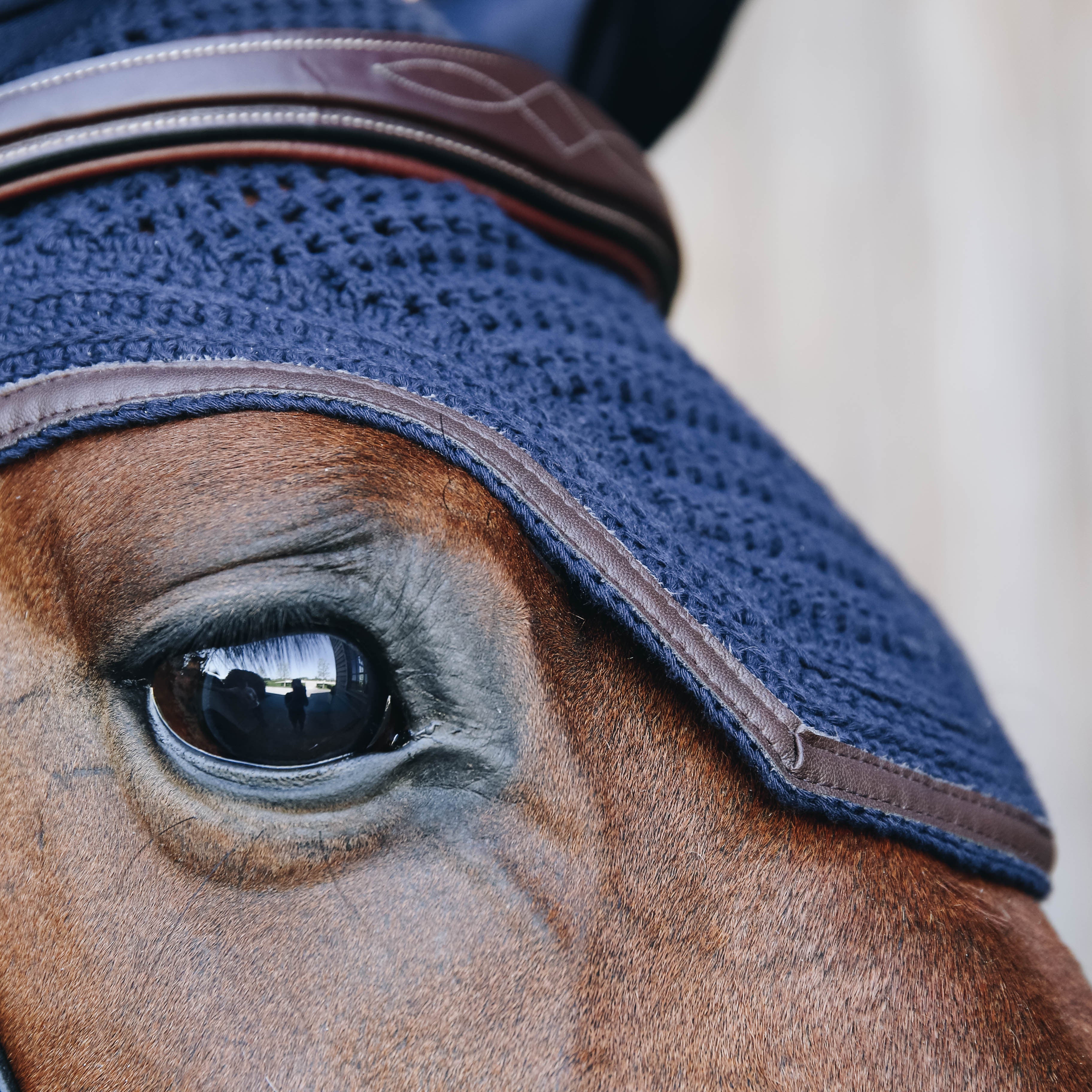 Fliegenhaube Wellington Leder