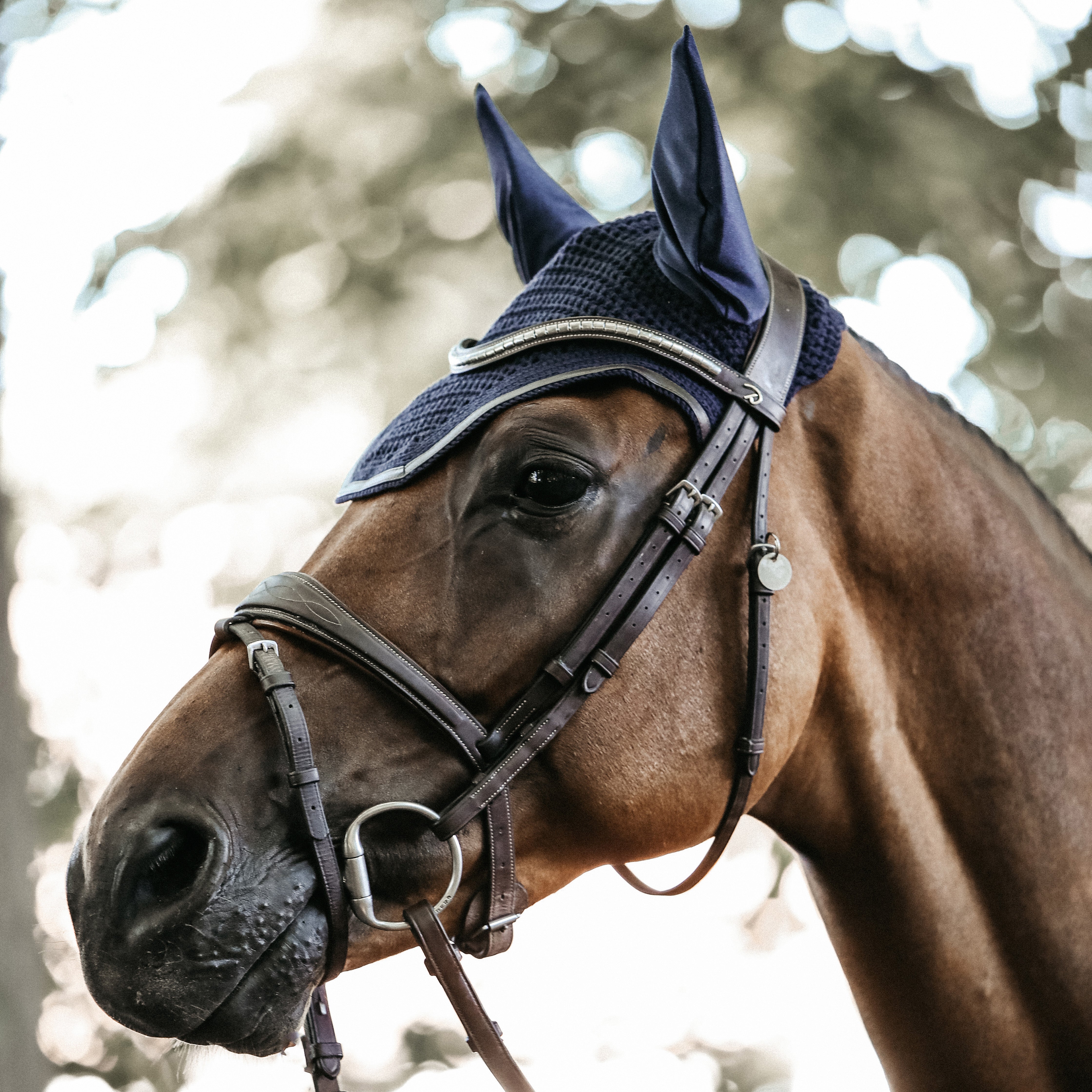 Fliegenhaube Wellington Leder