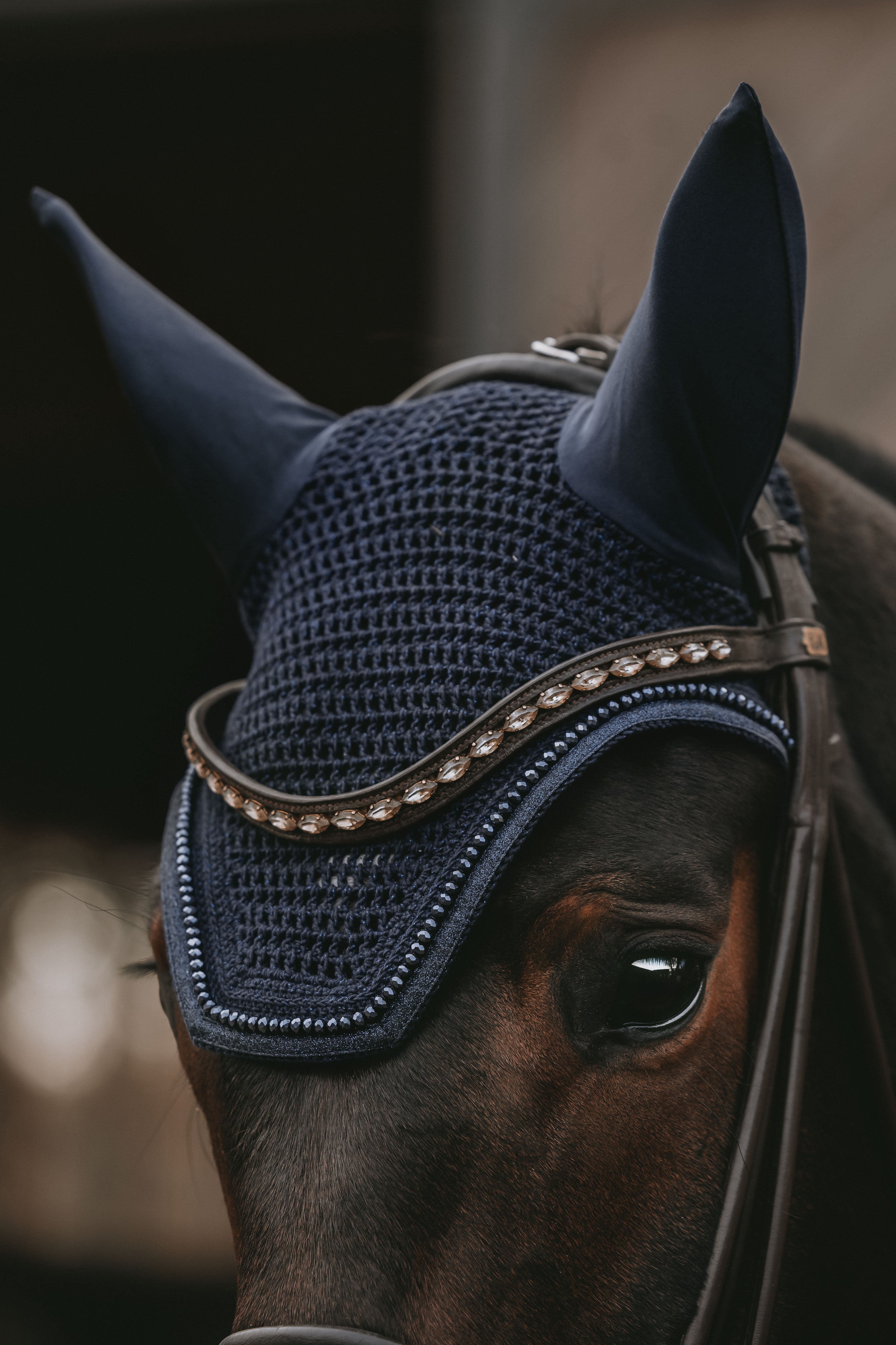 Fliegenhaube Wellington Glitzer