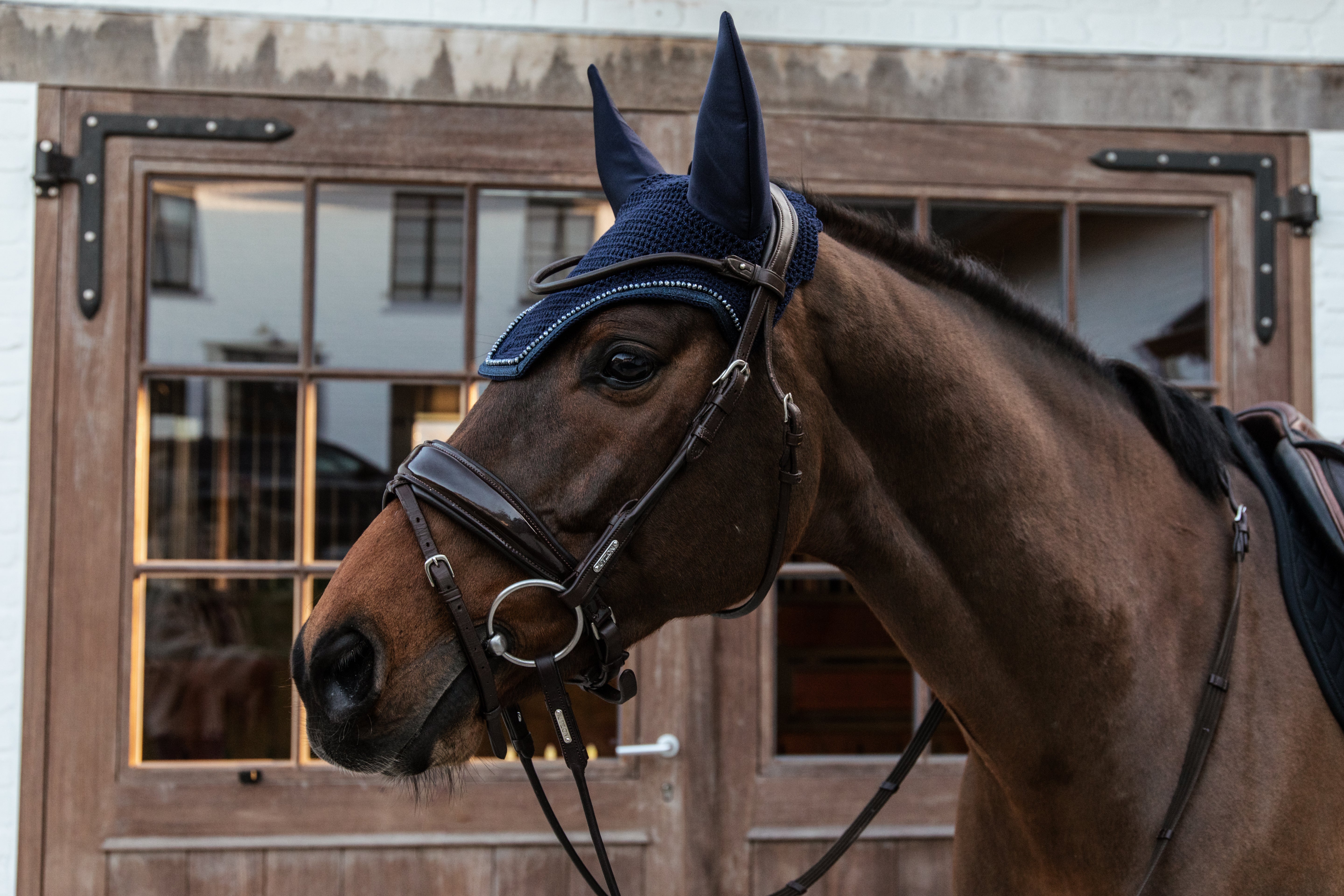 Fliegenhaube Wellington Glitzer Geräuschlos