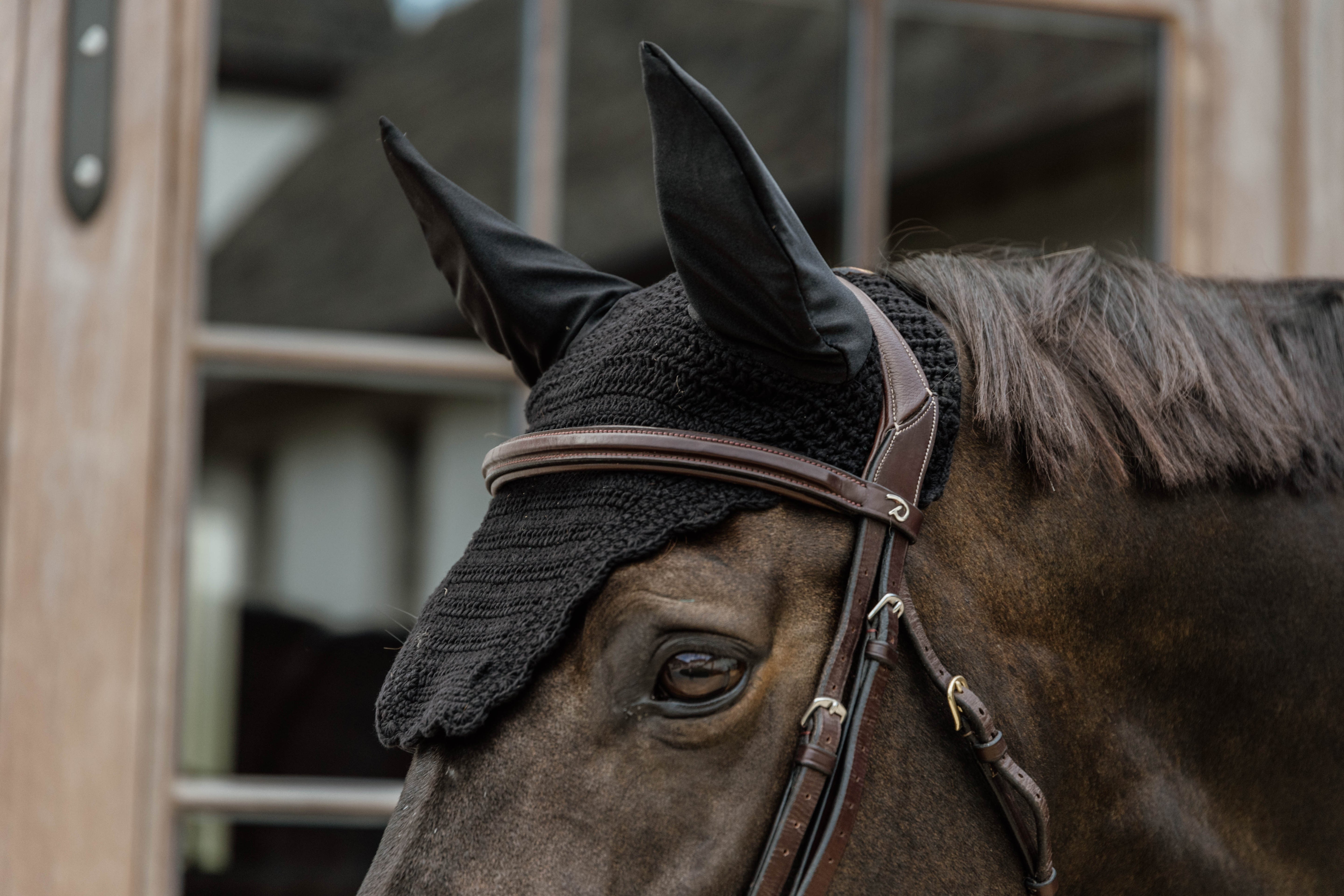 Fliegenhaube Wellington Welle