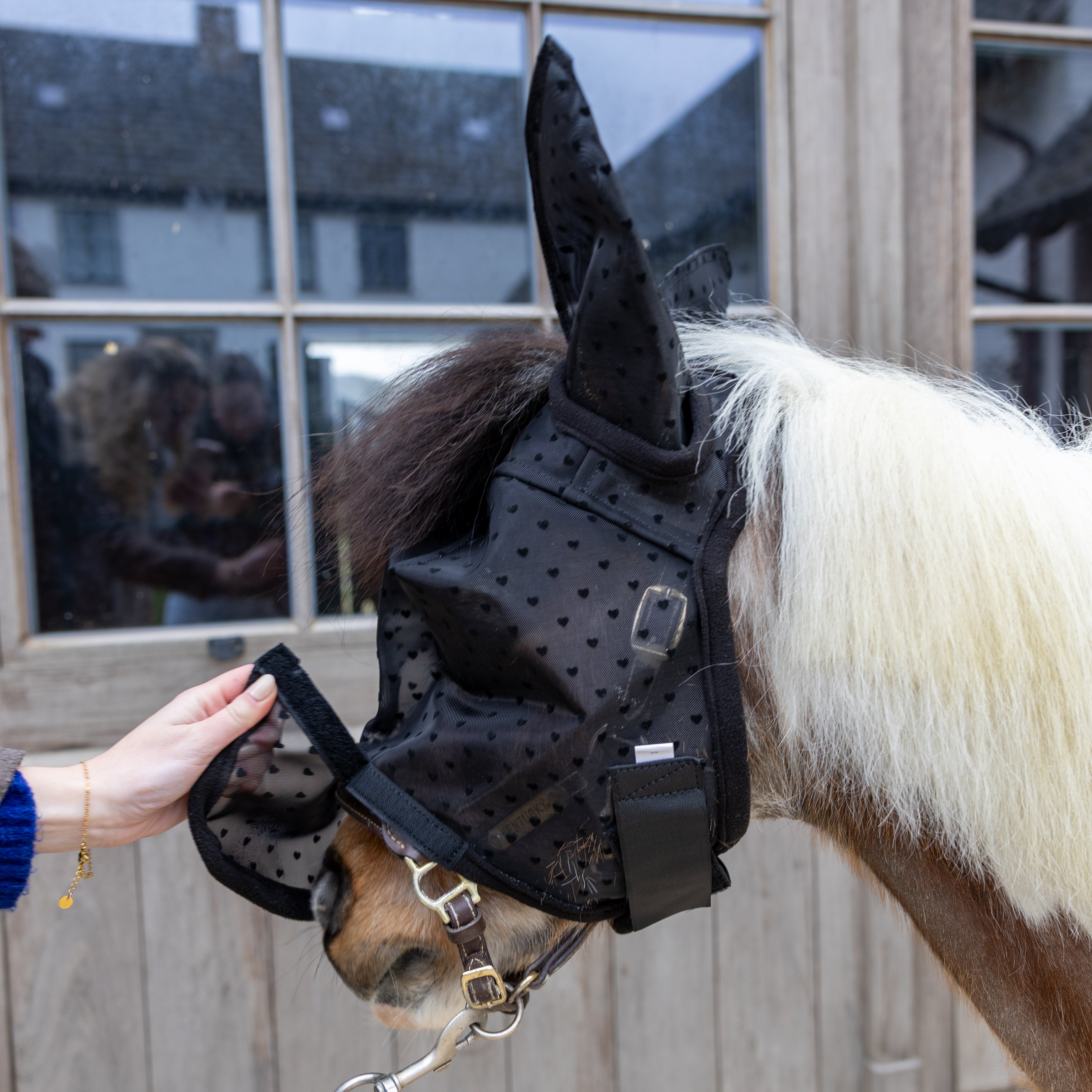 Fliegenmaske Herz Mit Ohren Und Nase Shetland