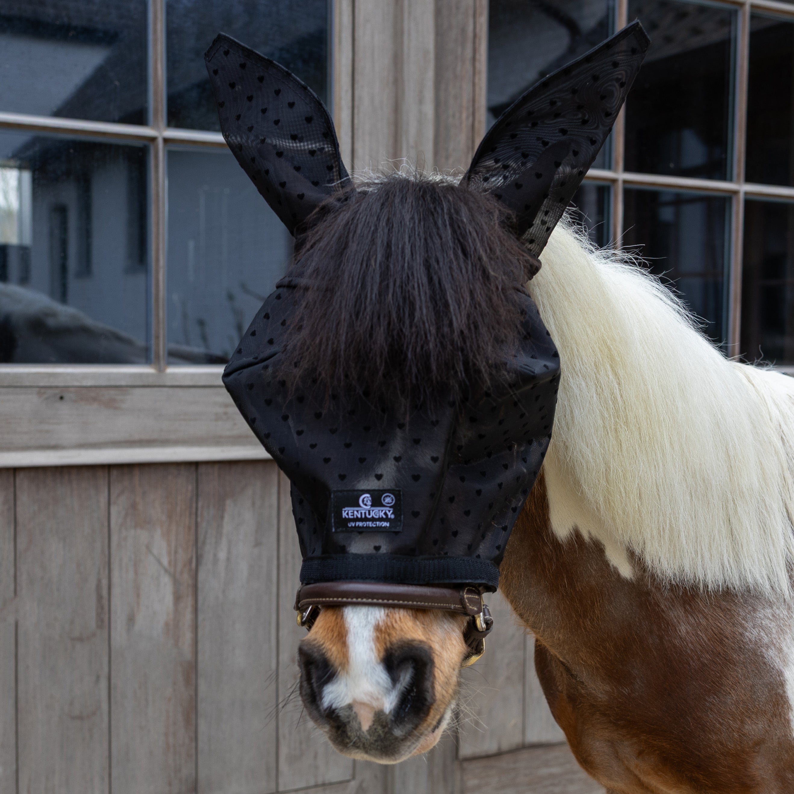 Fliegenmaske Herz Mit Ohren Und Nase Shetland