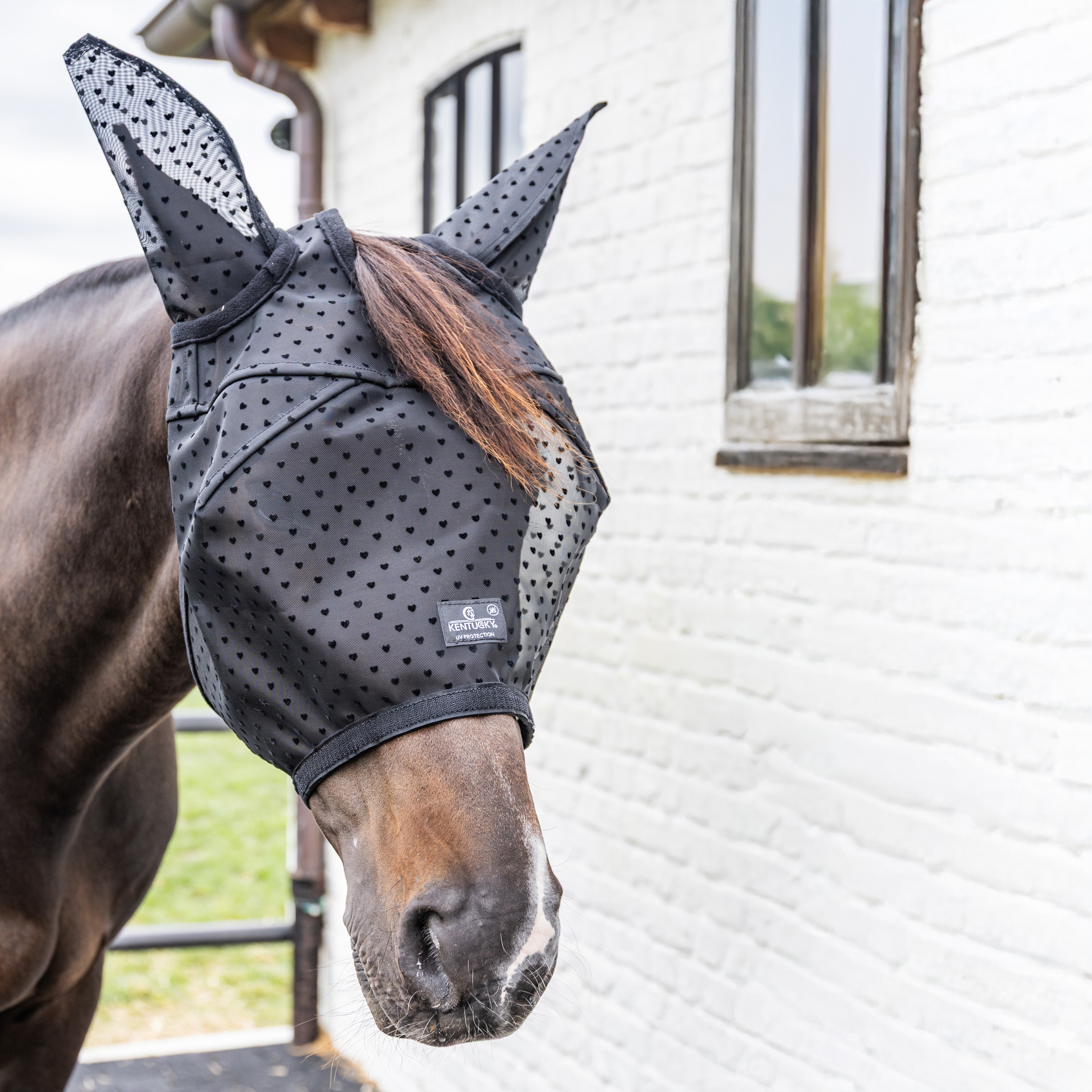 Fliegenmaske Herz Mit Ohren Und Nase Shetland