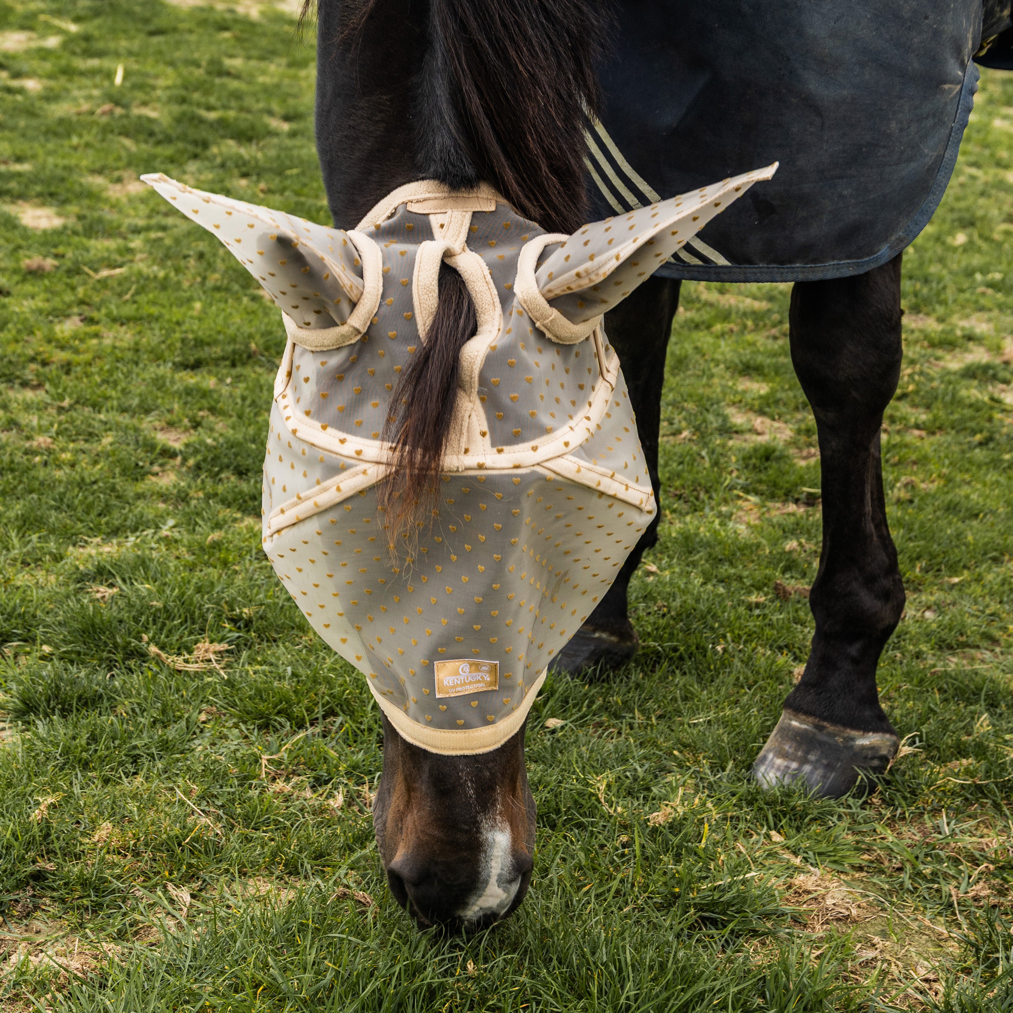Fliegenmaske Herz Mit Ohren Und Nase Shetland