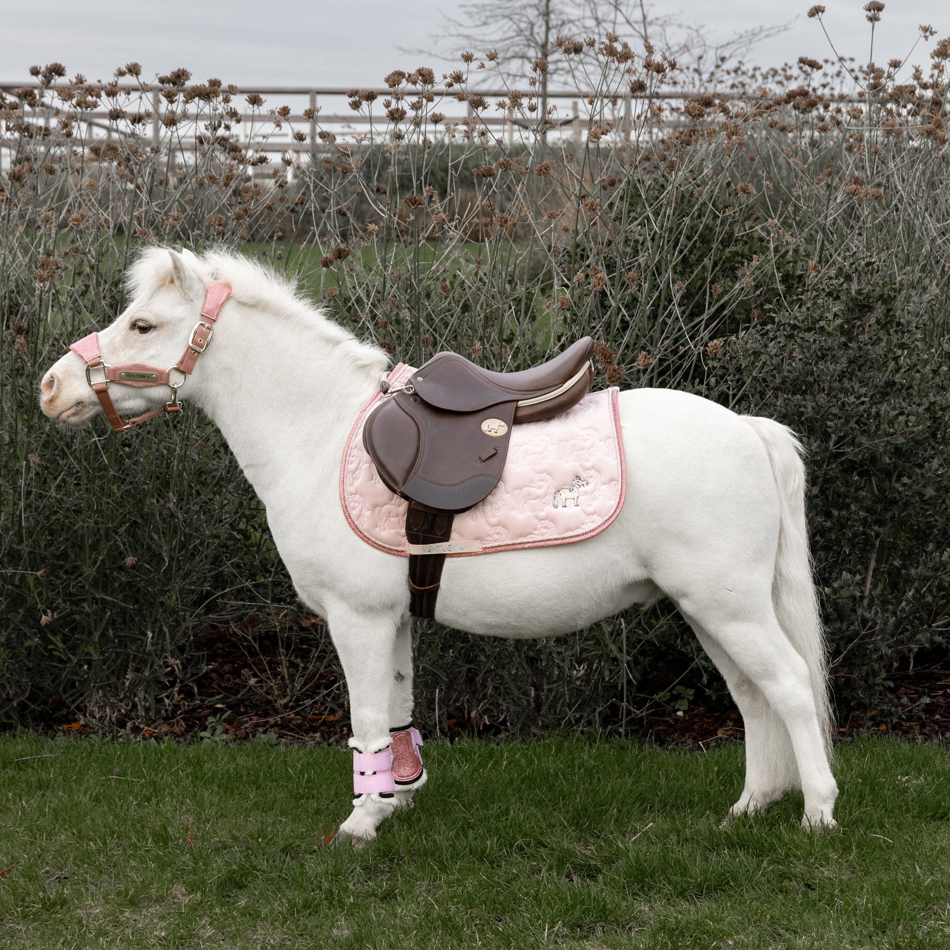 Sattelpad Glitzer