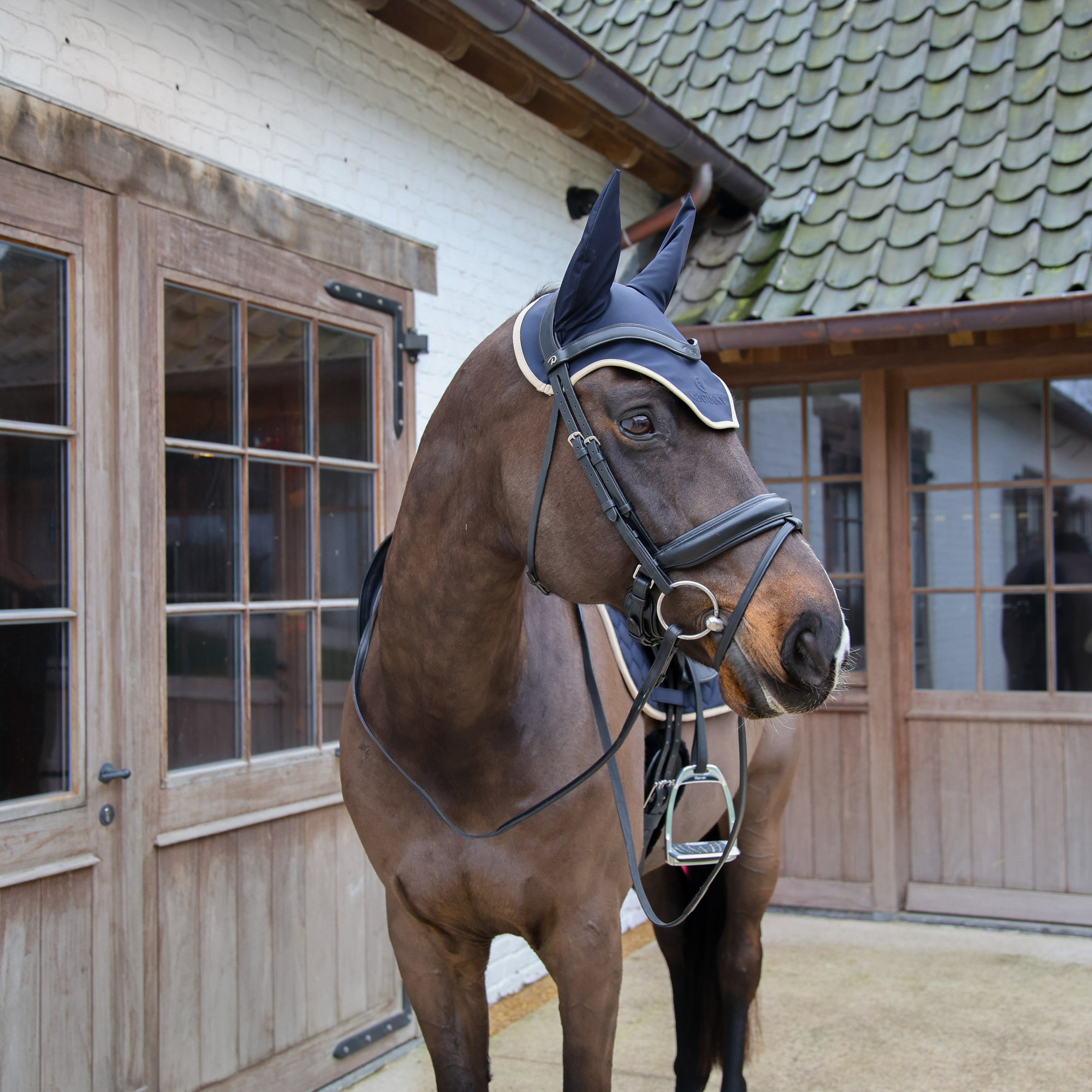 Fliegenhaube Wellington Softshell