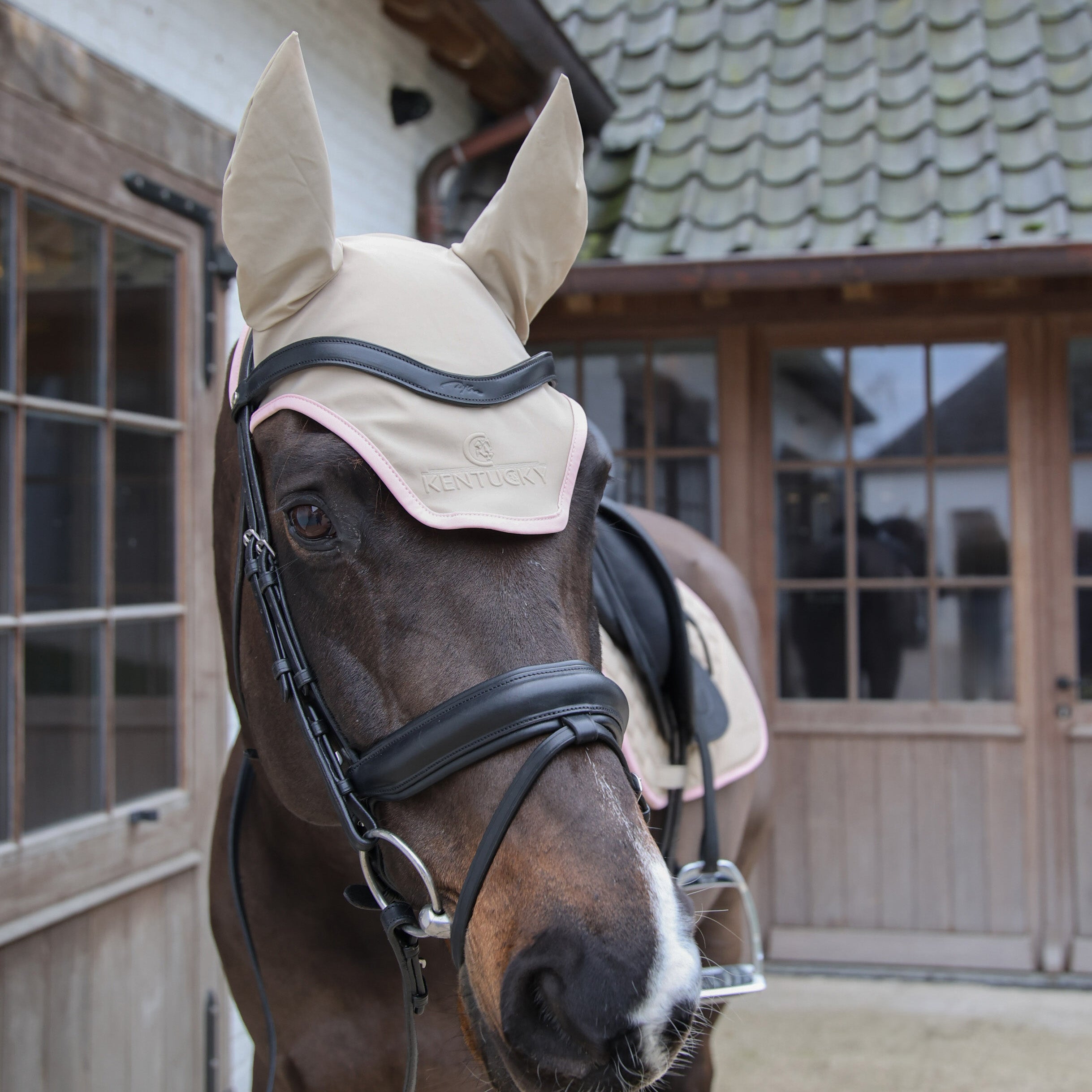 Fliegenhaube Wellington Softshell