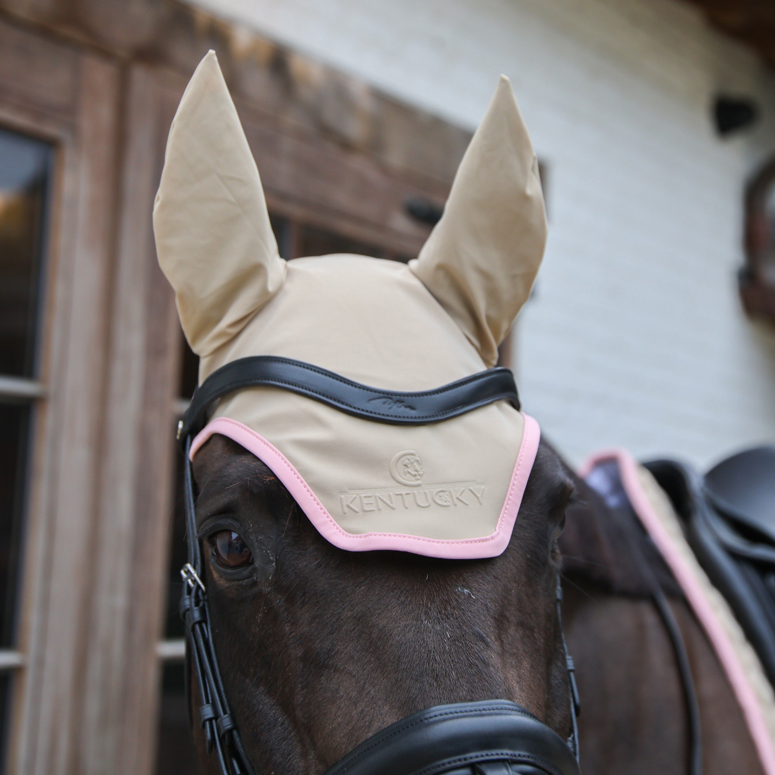 Fliegenhaube Wellington Softshell