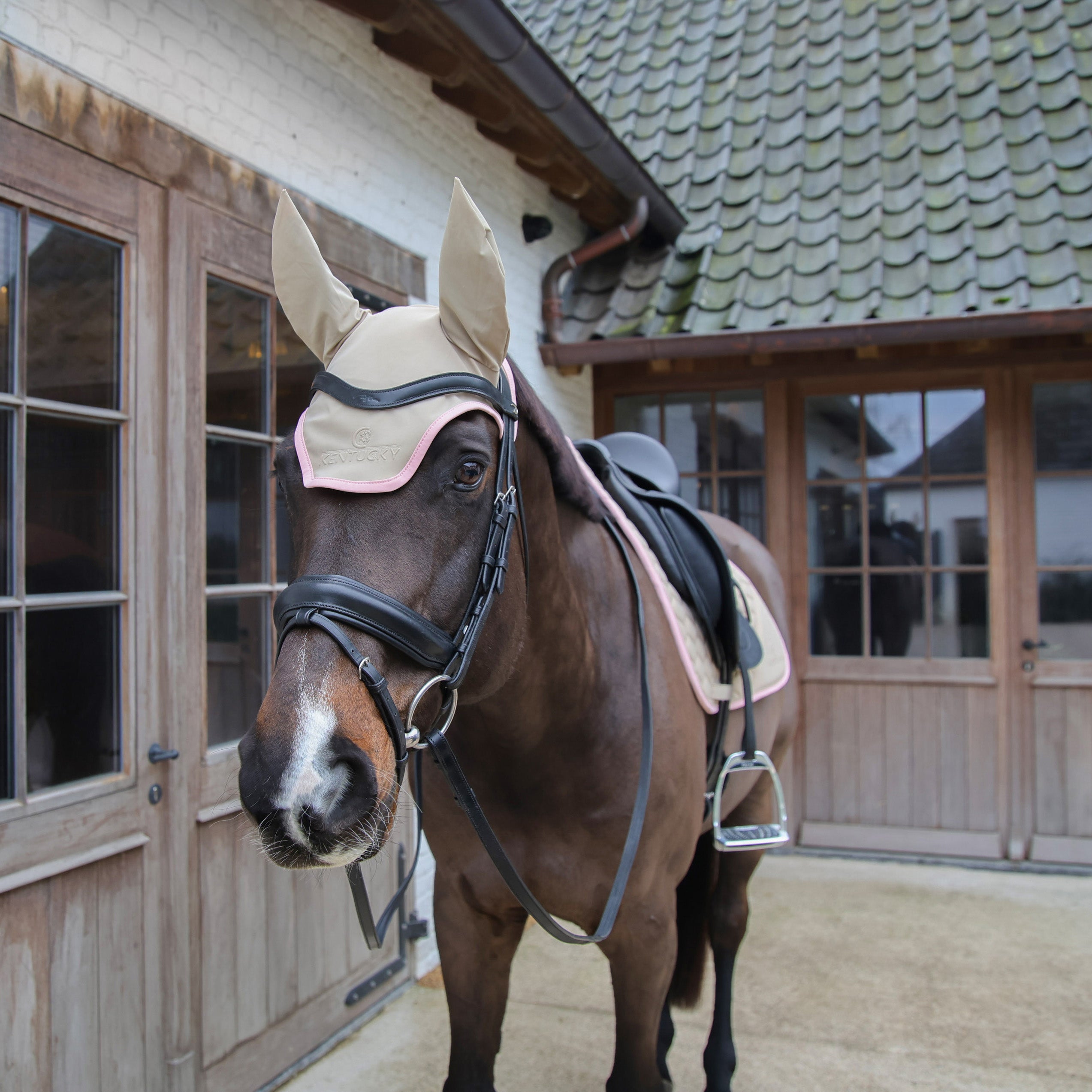 Fliegenhaube Wellington Softshell