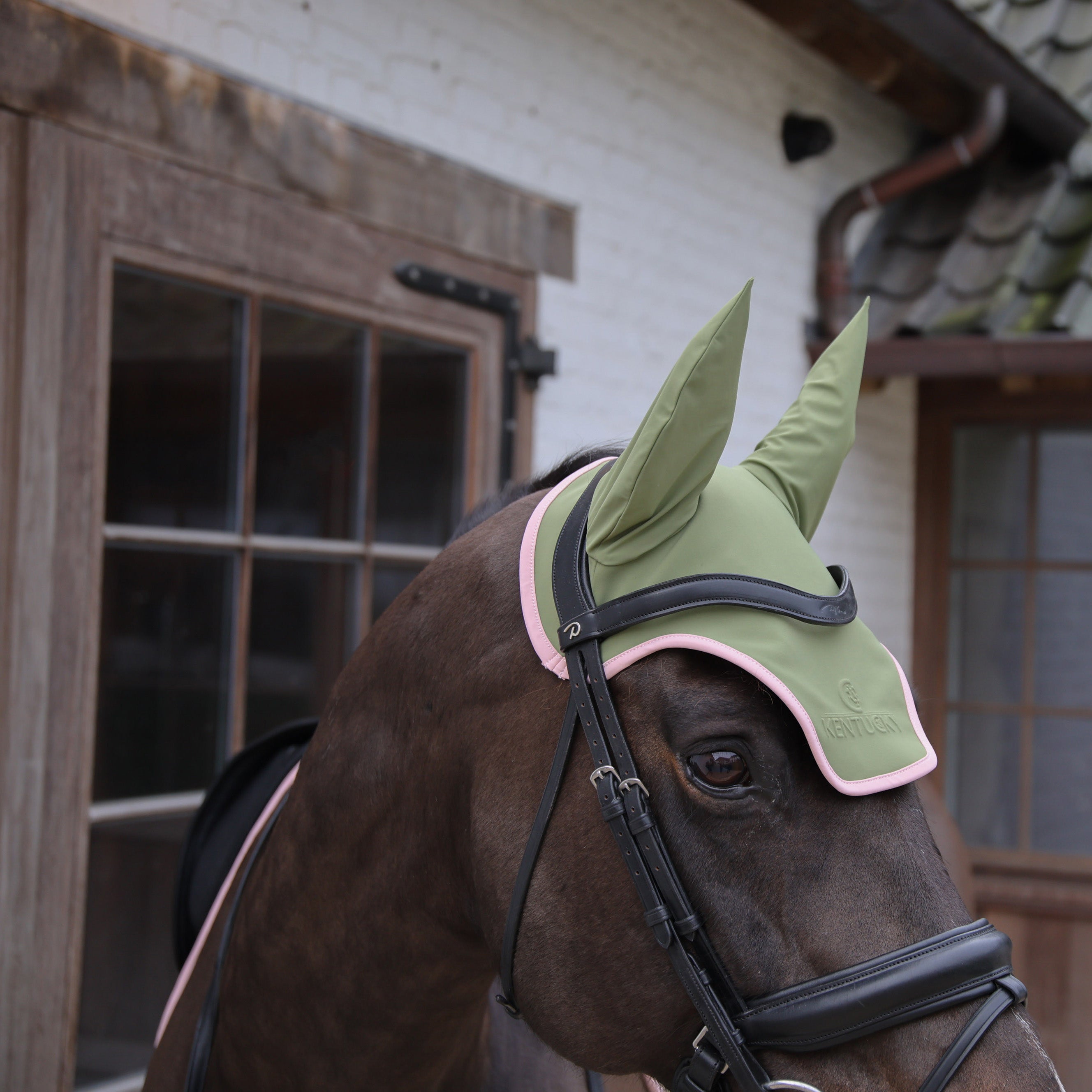 Fliegenhaube Wellington Geräuschlos Softshell