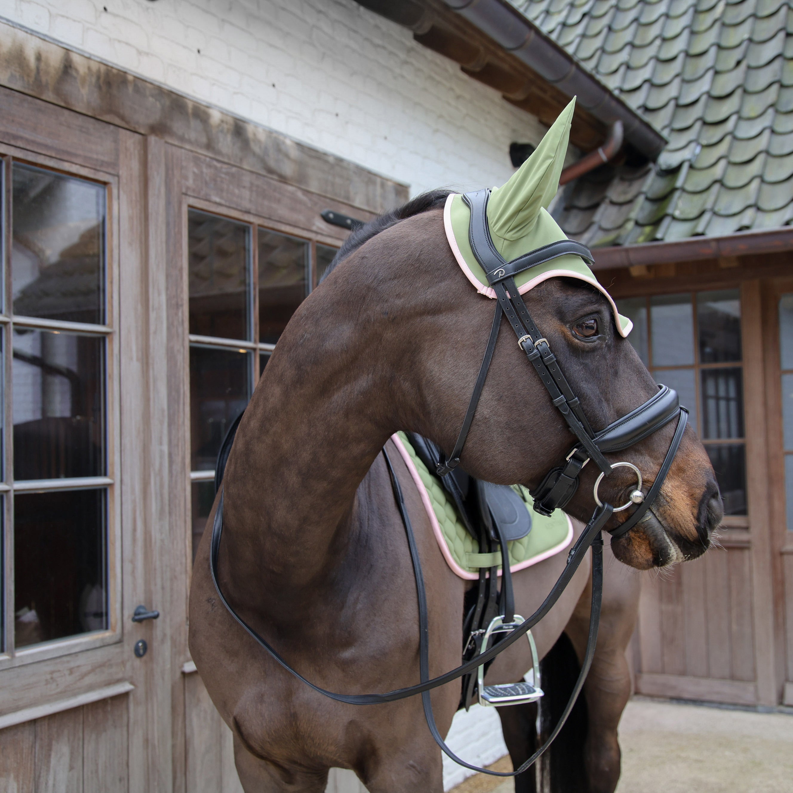 Fliegenhaube Wellington Geräuschlos Softshell