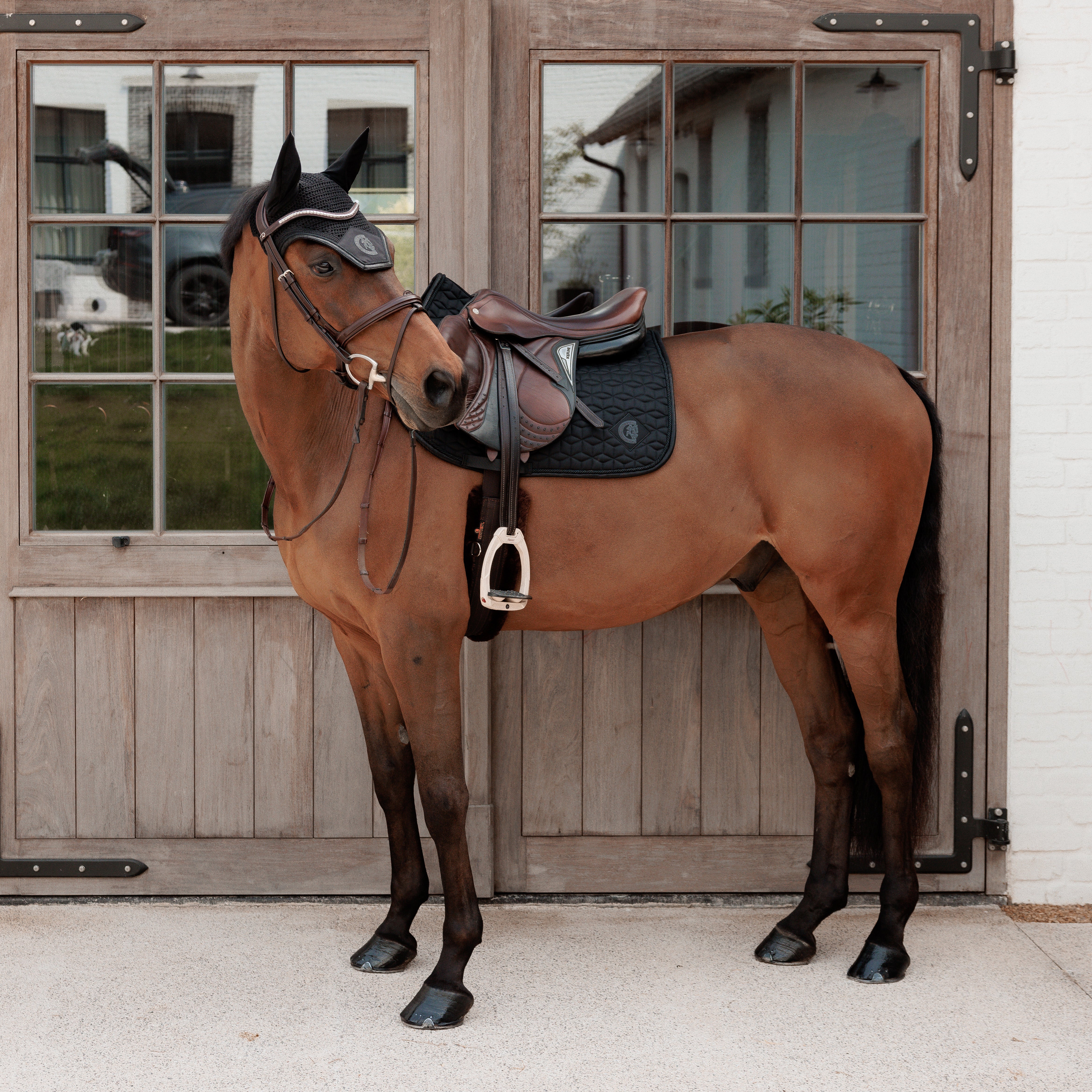 Fliegenhaube Wellington Glitzer Sparkling