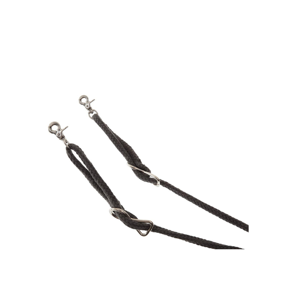 BR Lunging Aid ?