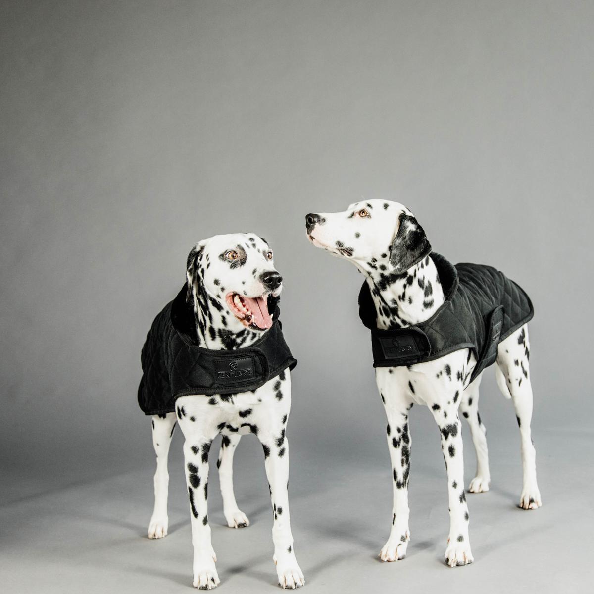 Hundemantel Original