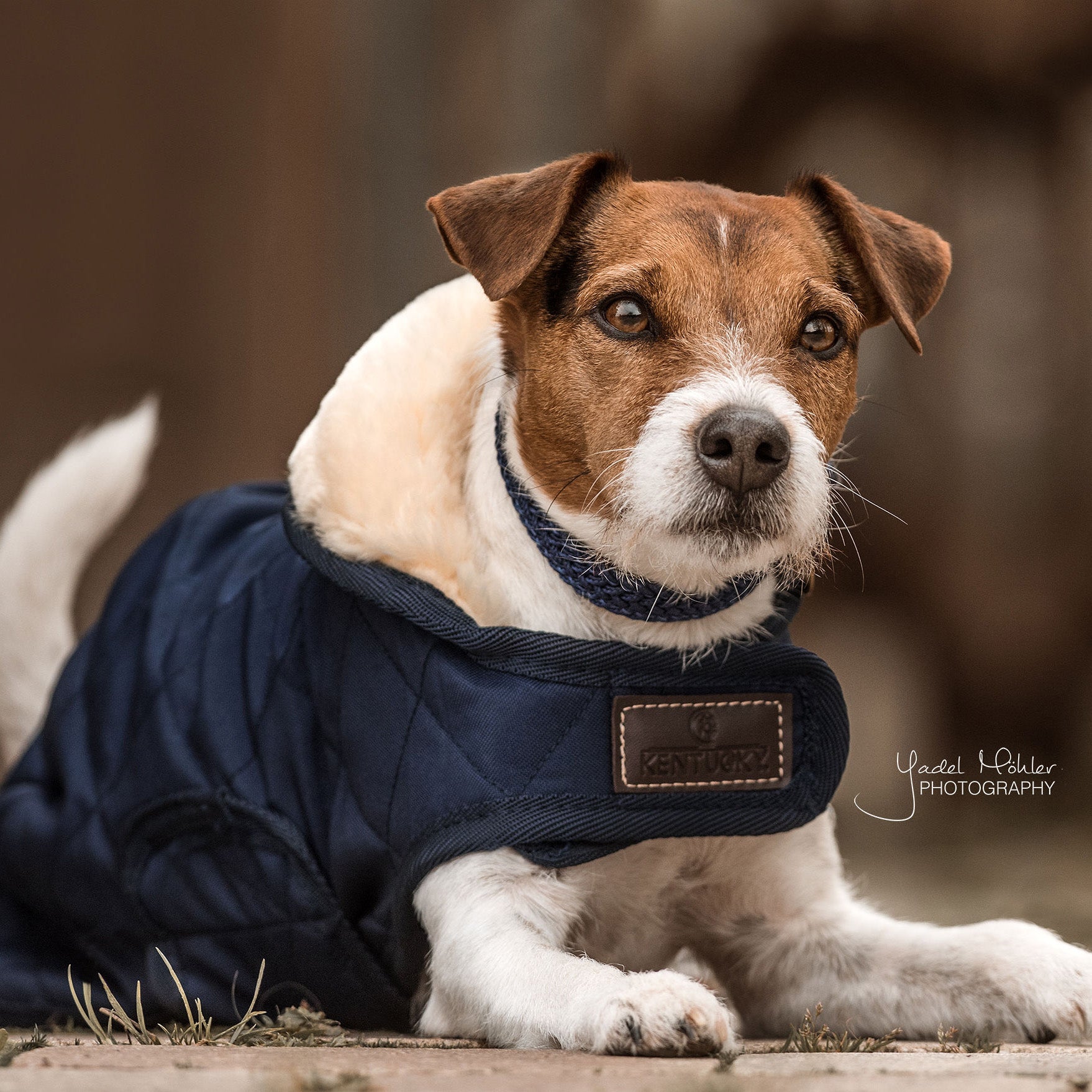 Hundemantel Original   62