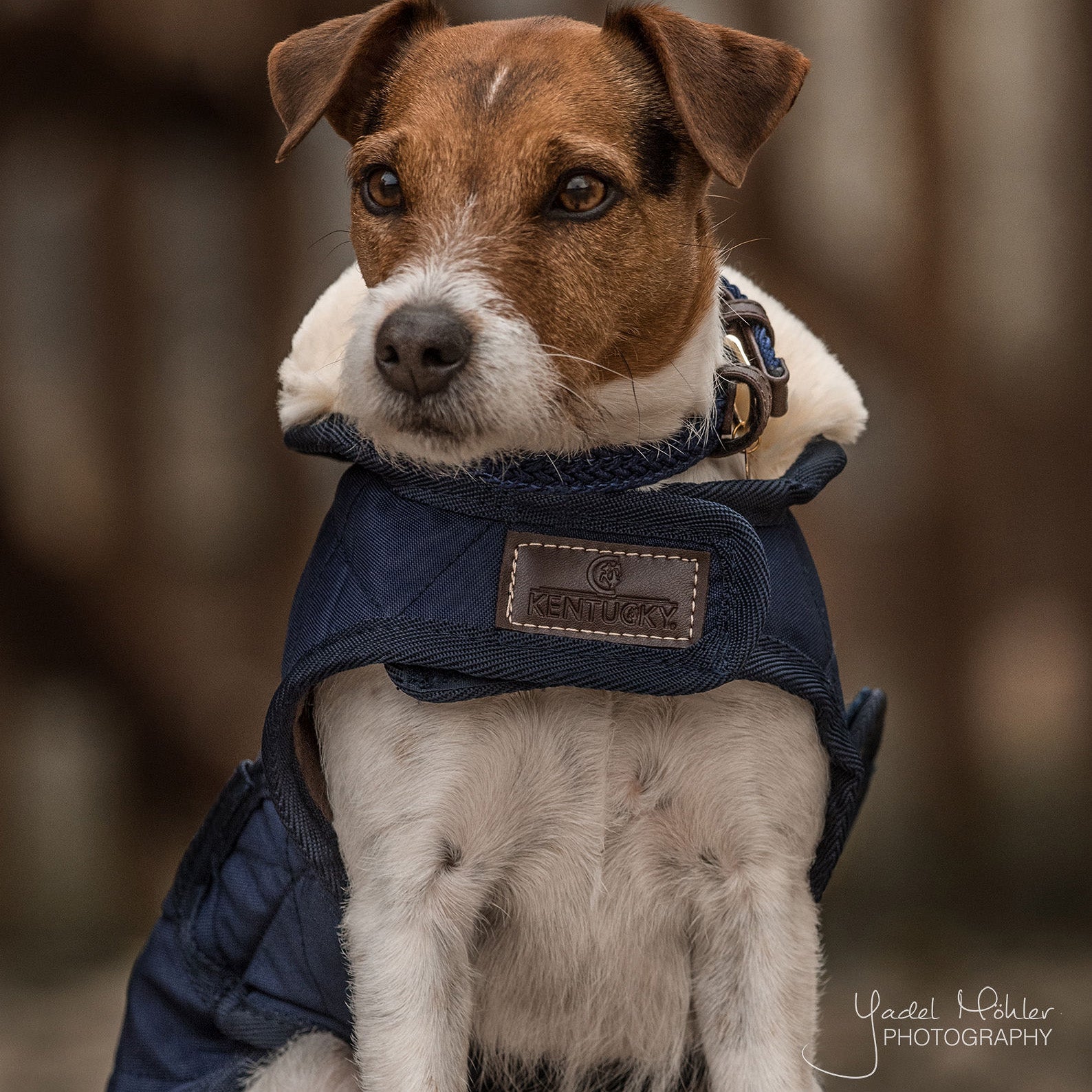 Hundemantel Original   62