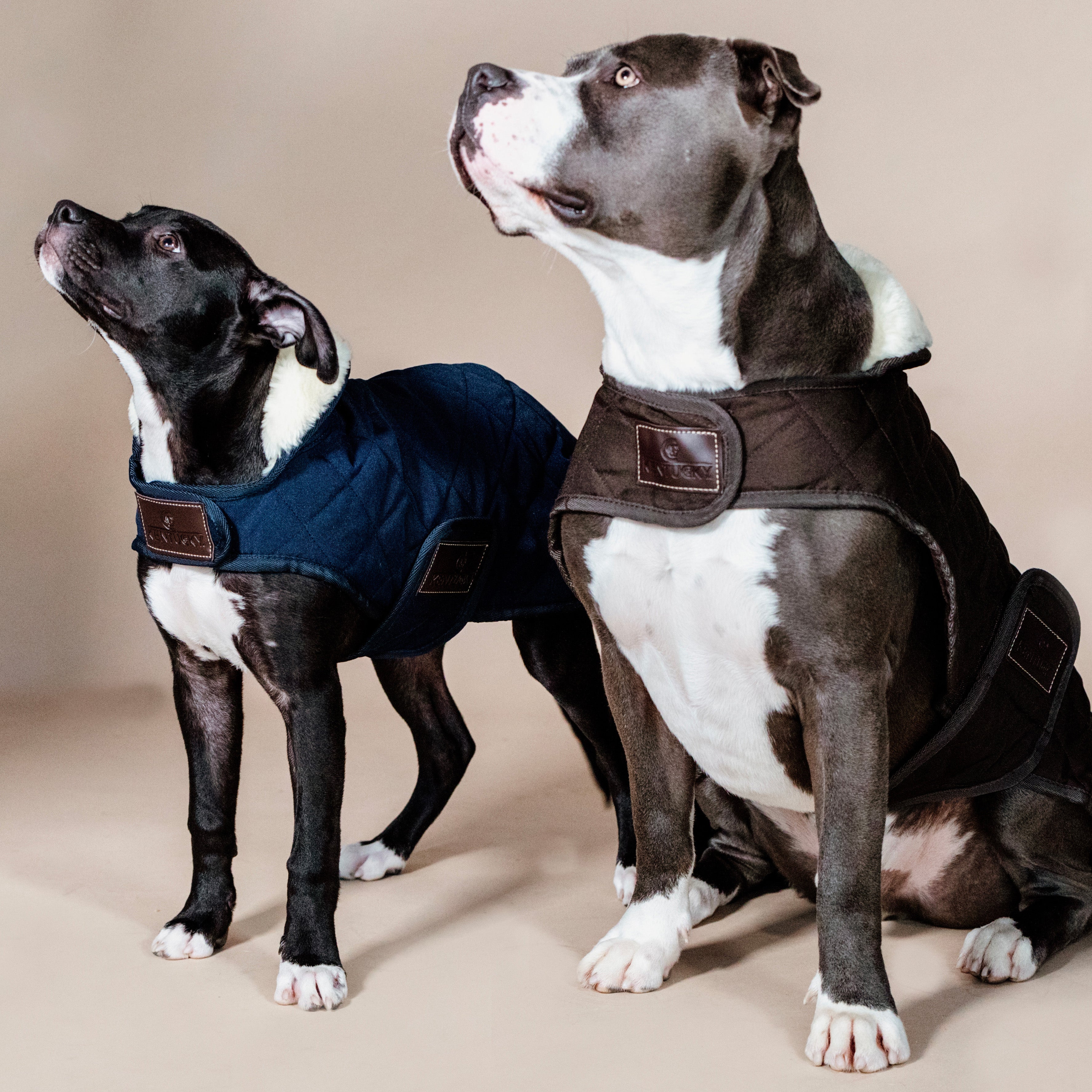 Hundemantel Original 76